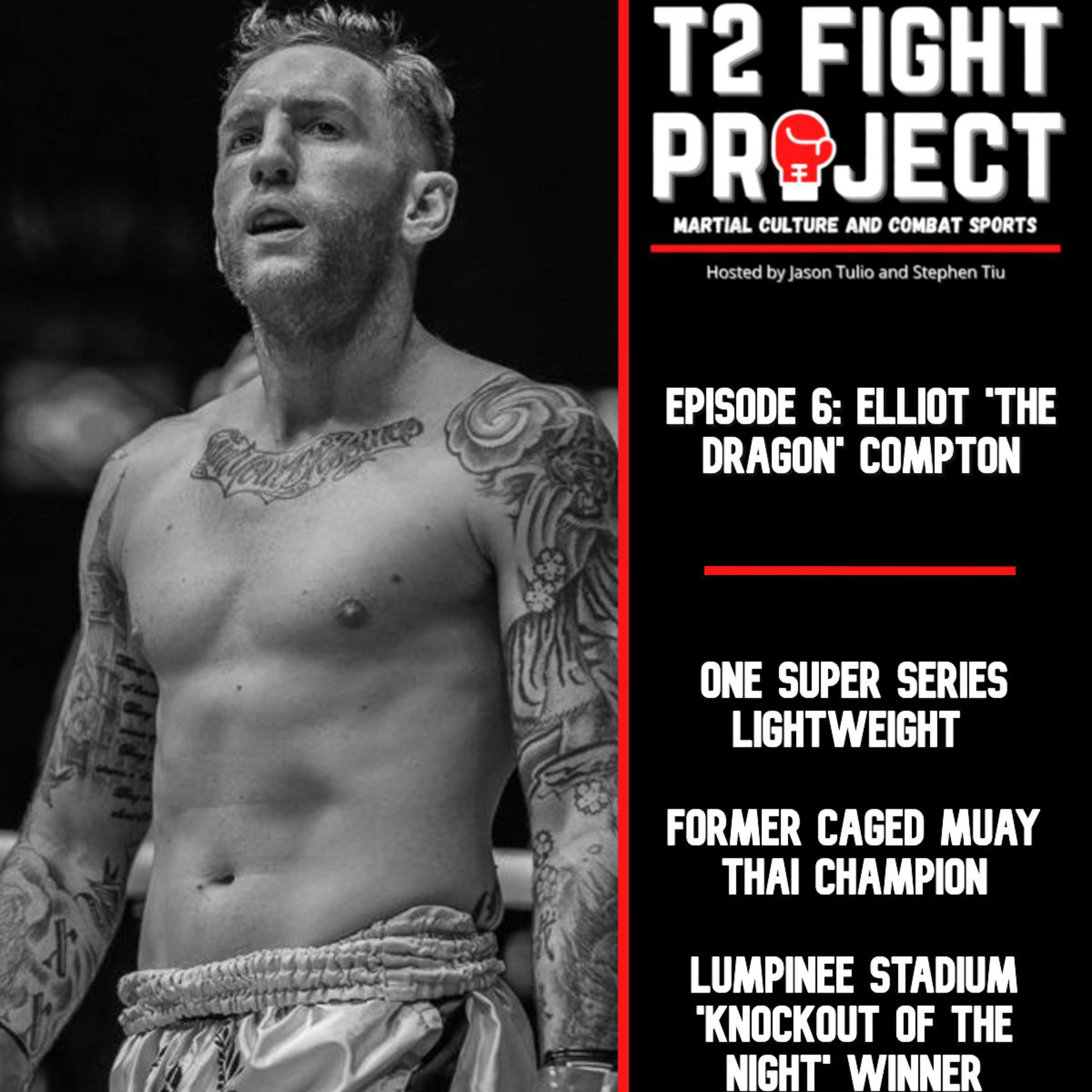 T2 Fight Project