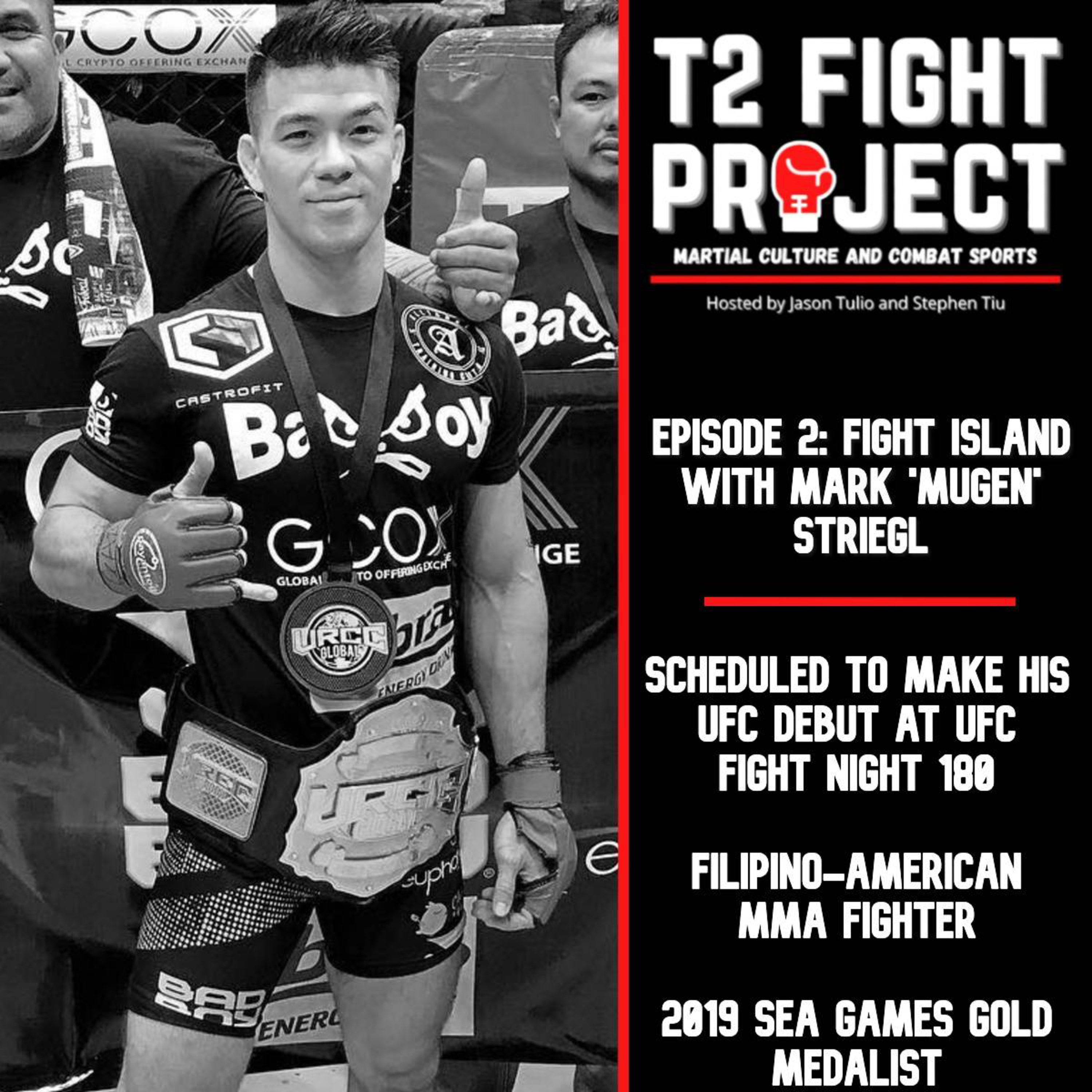 T2 Fight Project