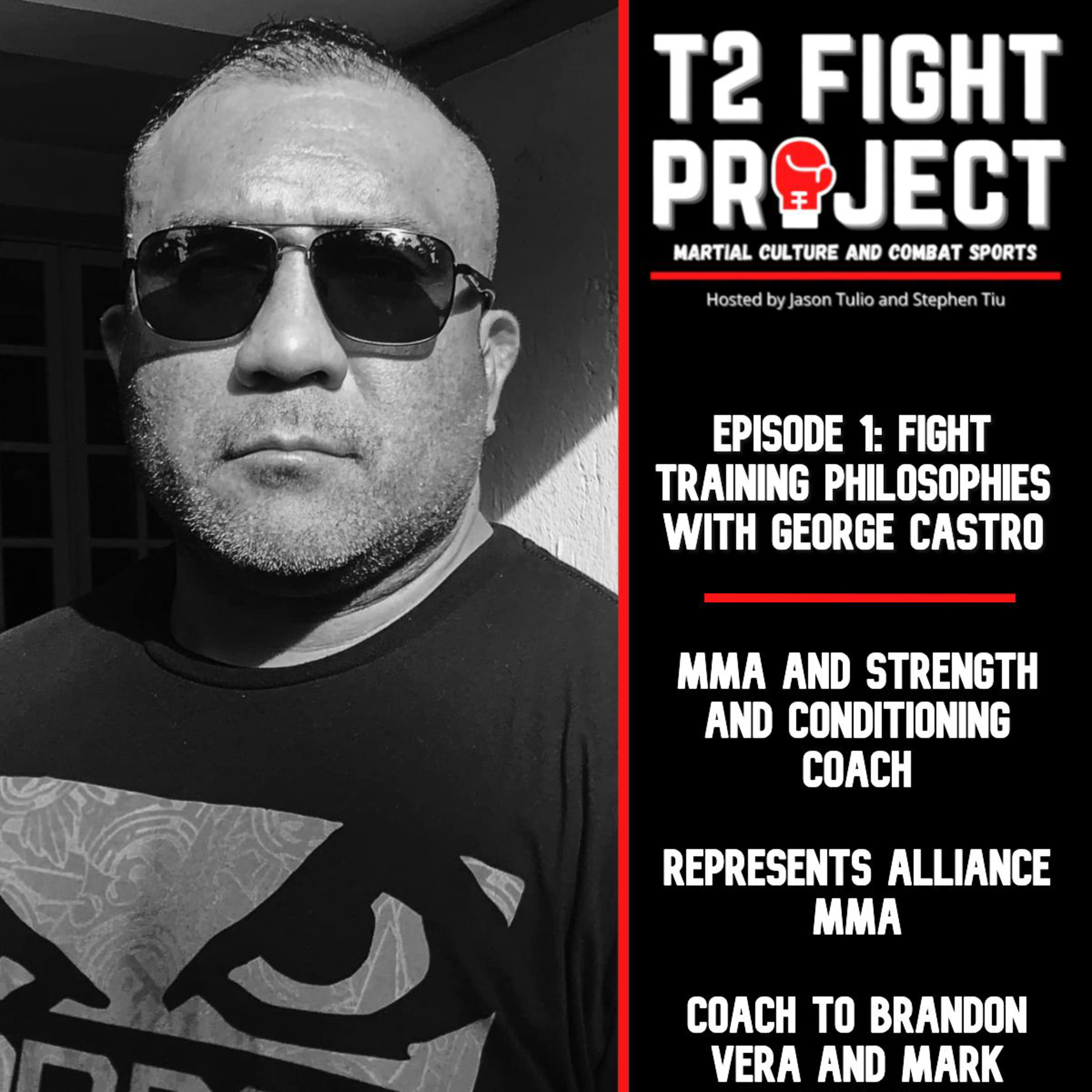 T2 Fight Project