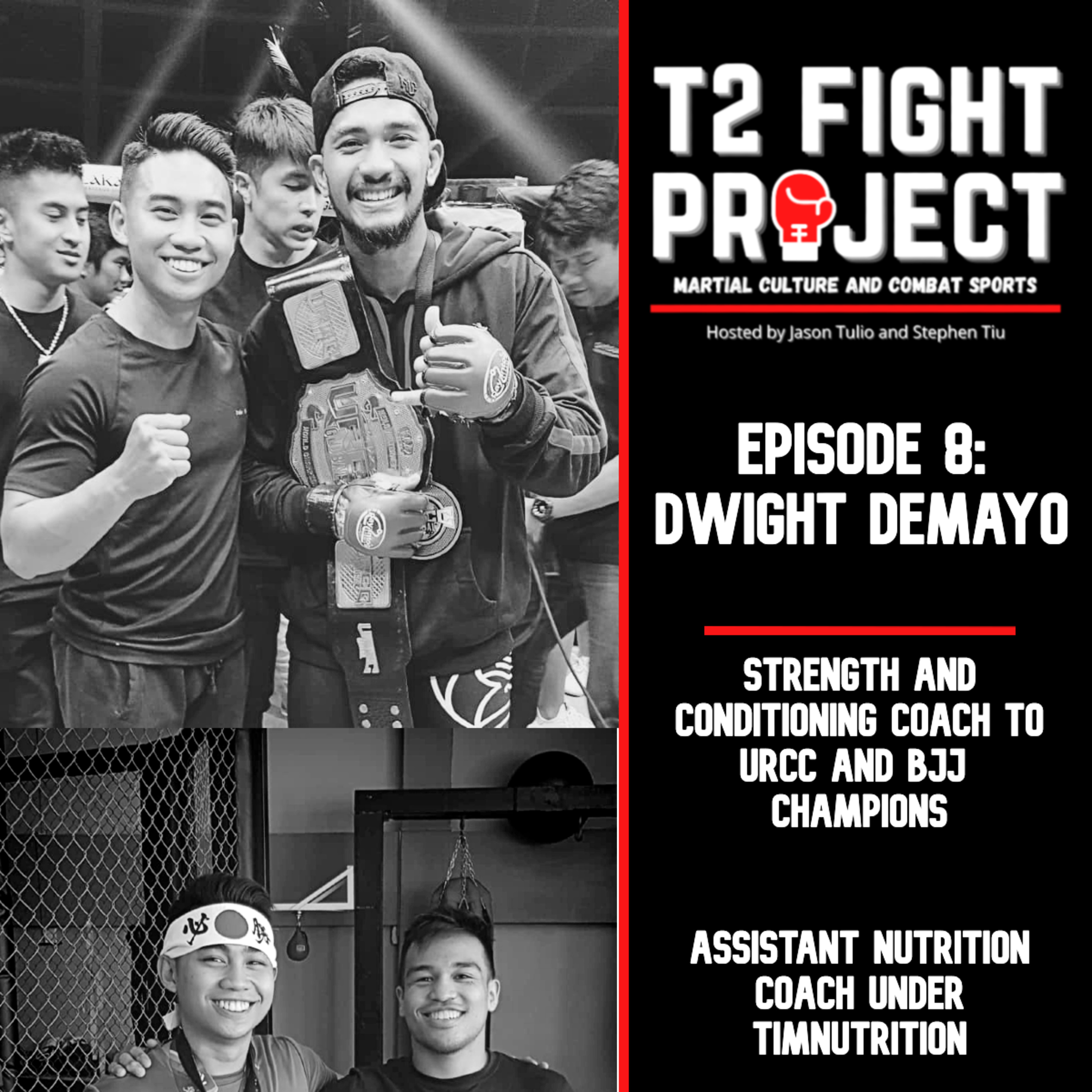 T2 Fight Project