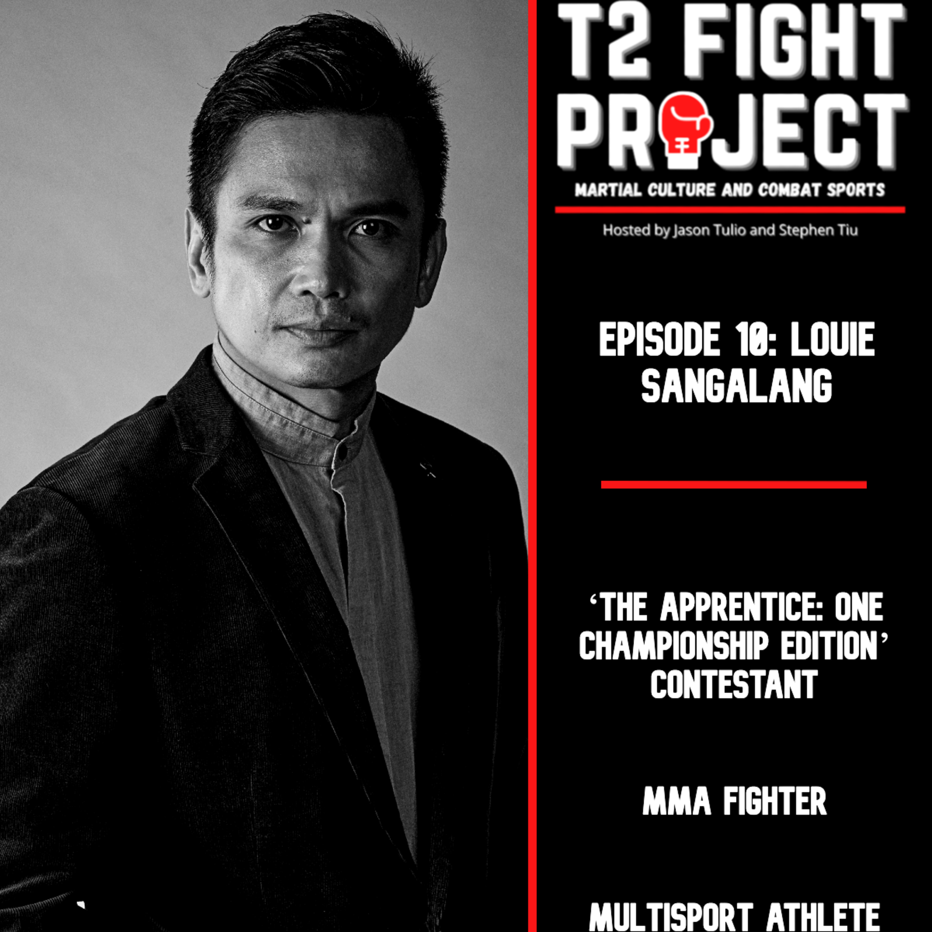 T2 Fight Project