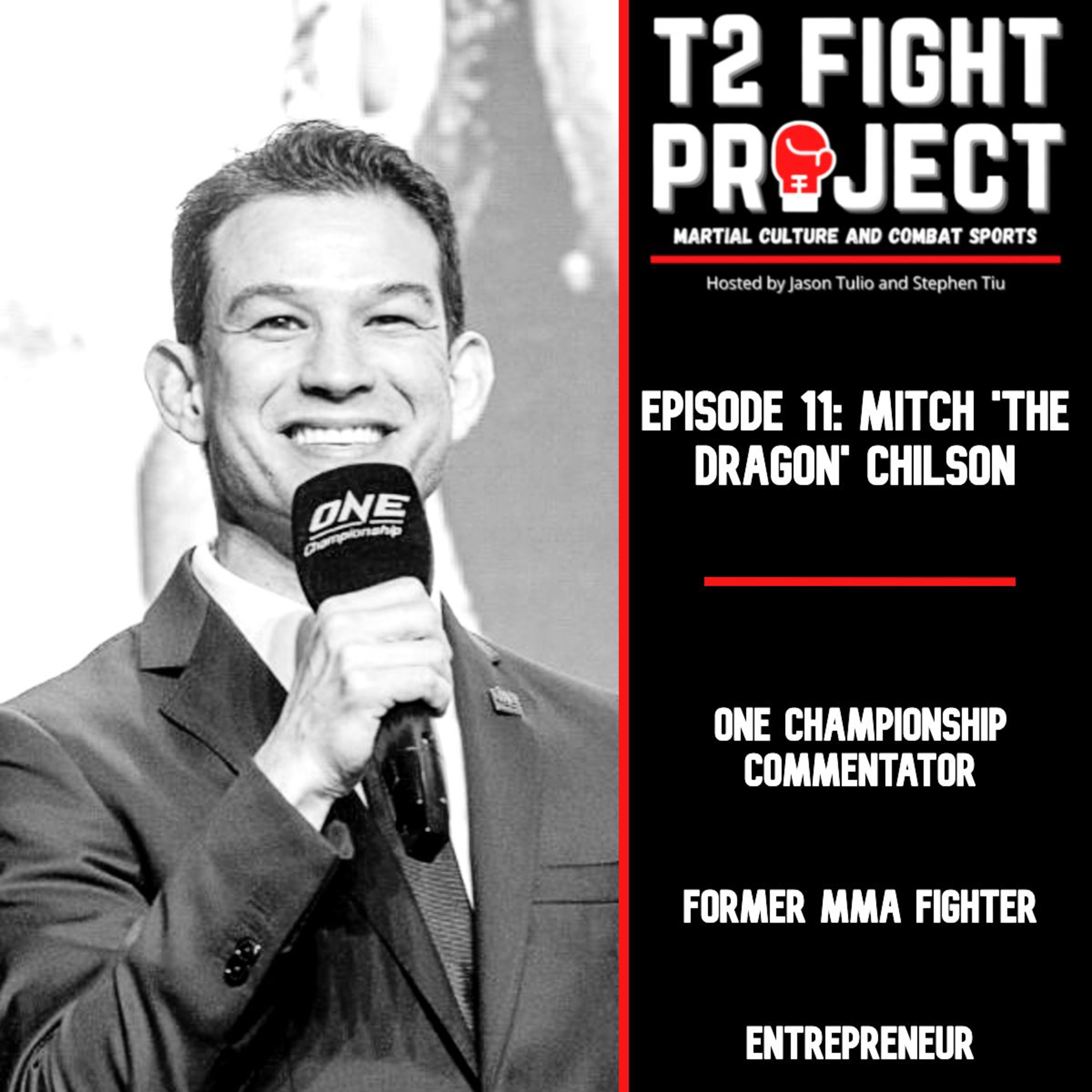 T2 Fight Project