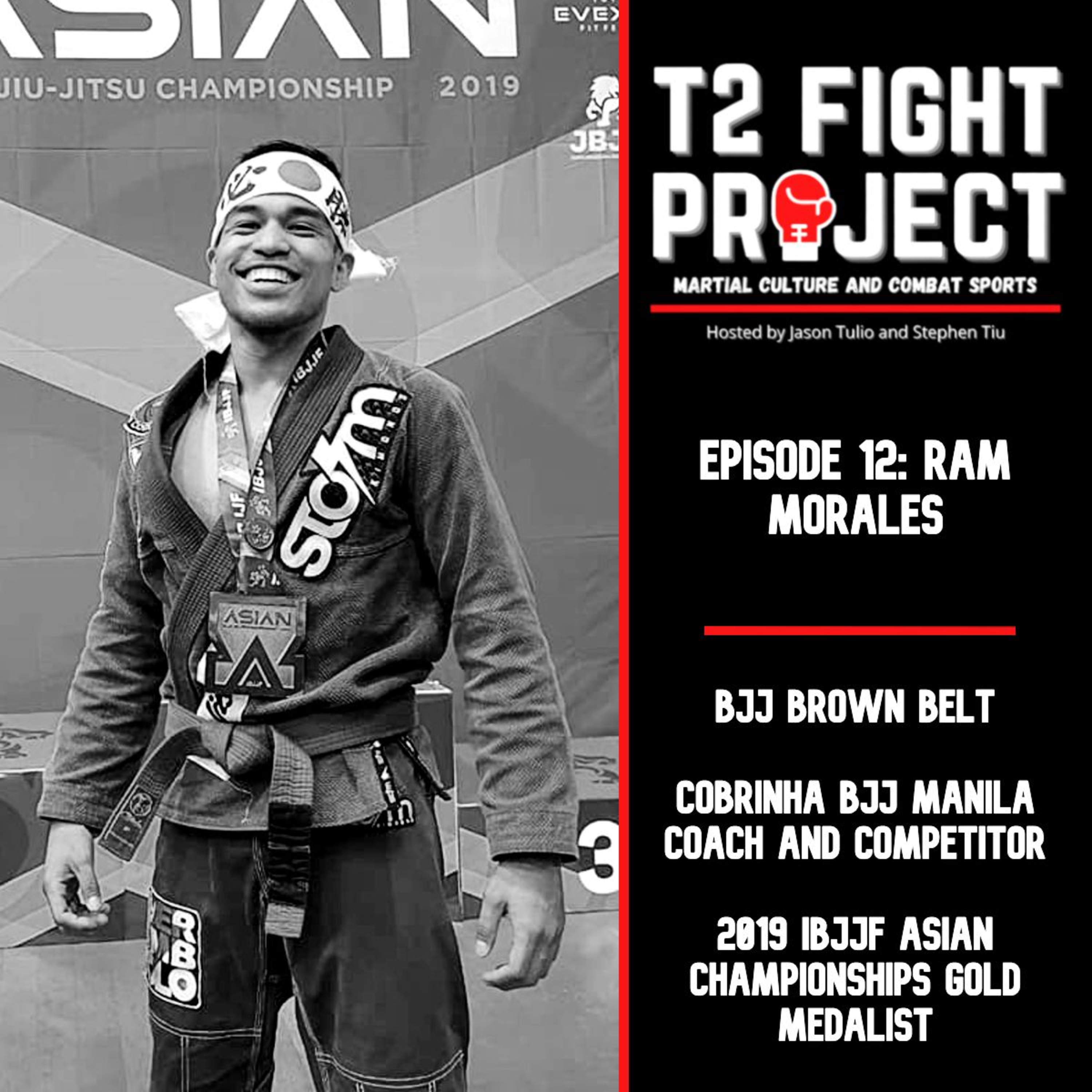 T2 Fight Project