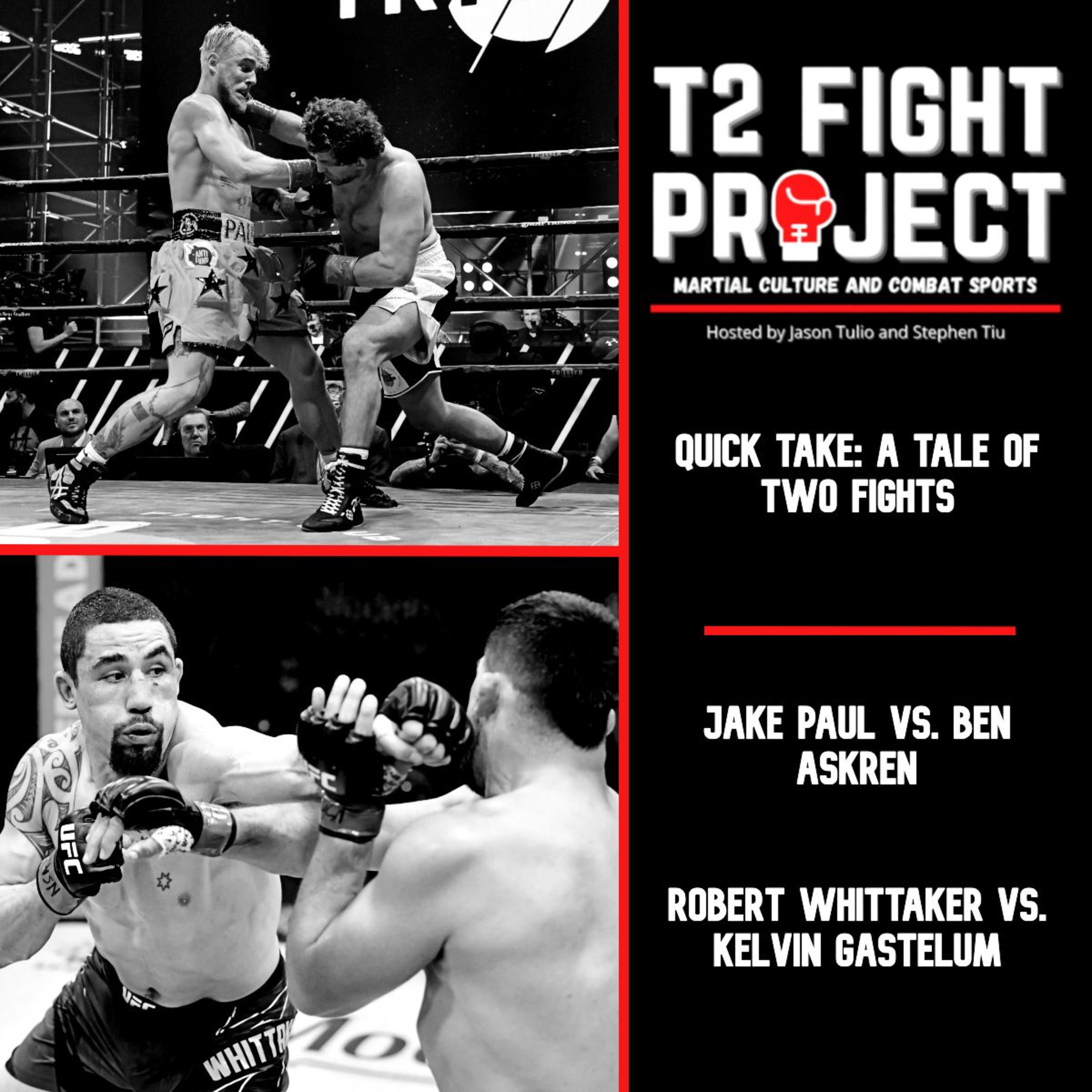 T2 Fight Project