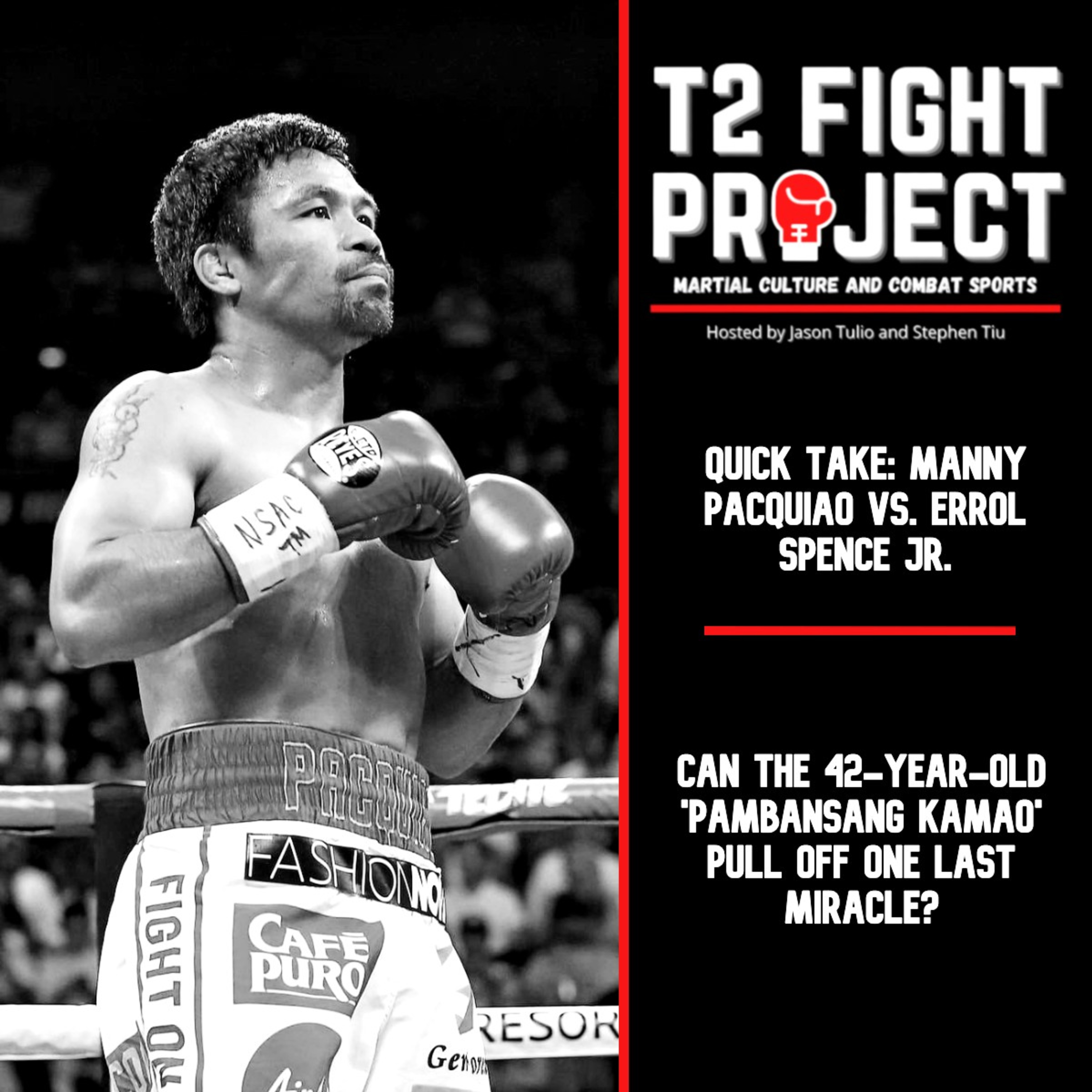 T2 Fight Project