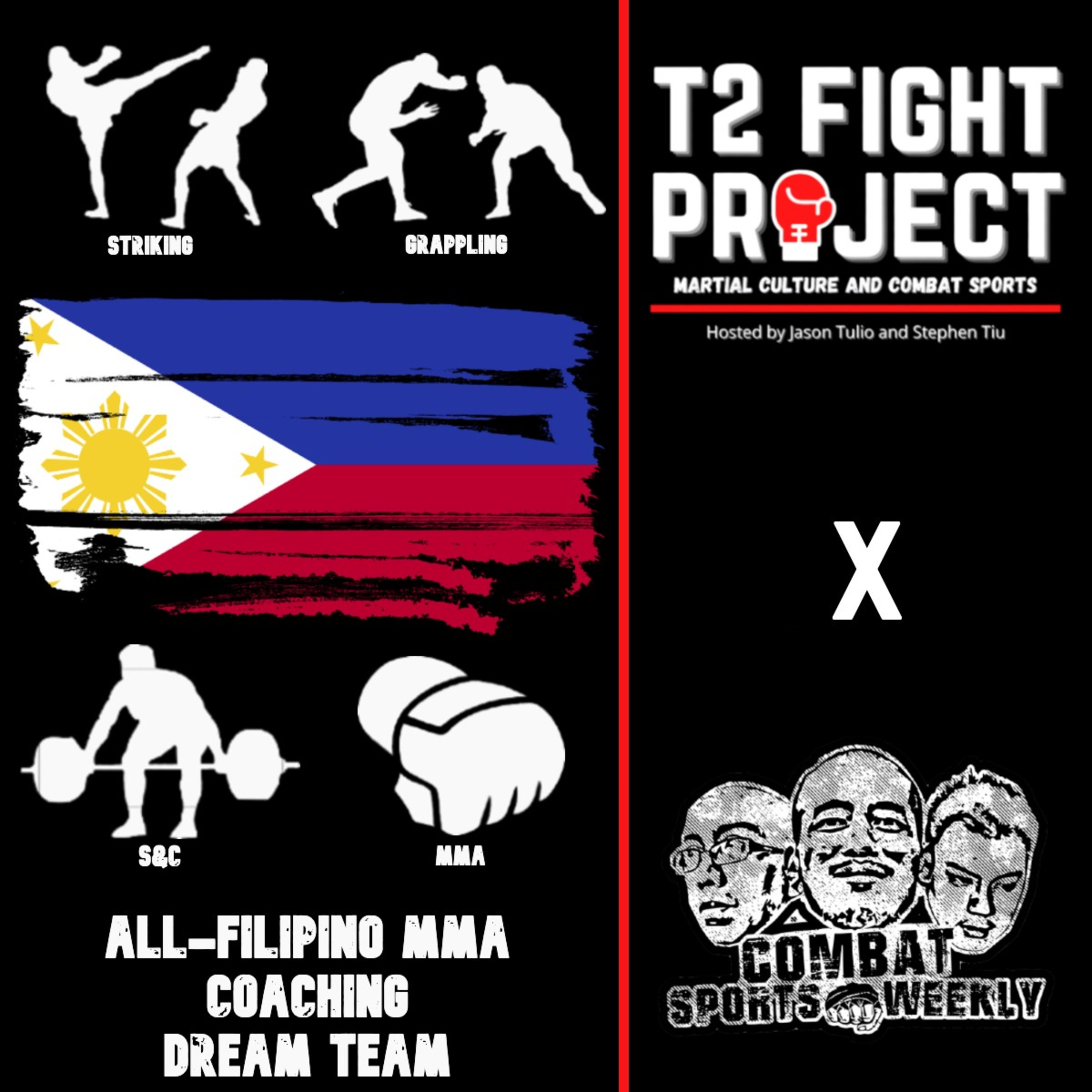 T2 Fight Project