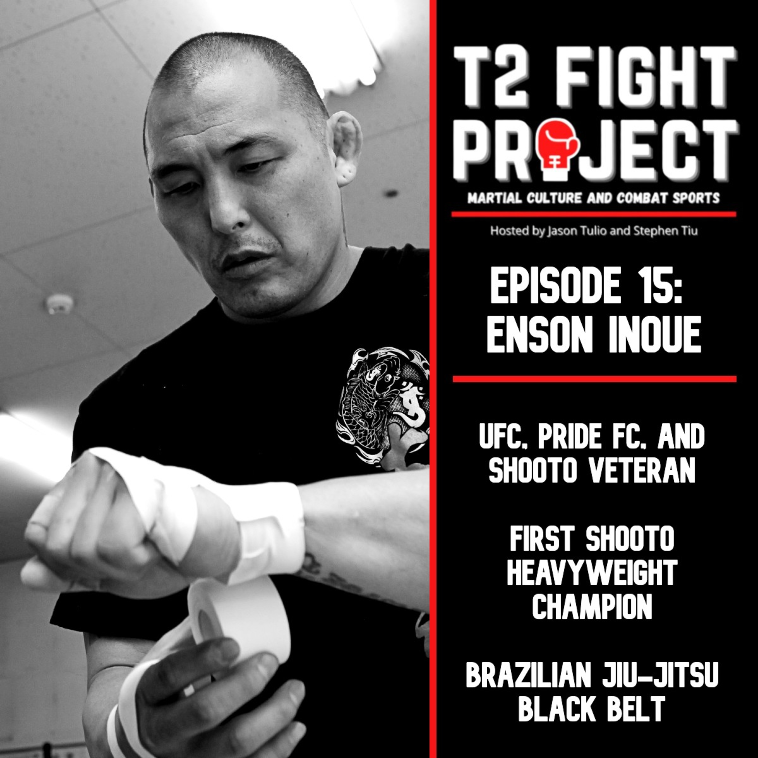 T2 Fight Project