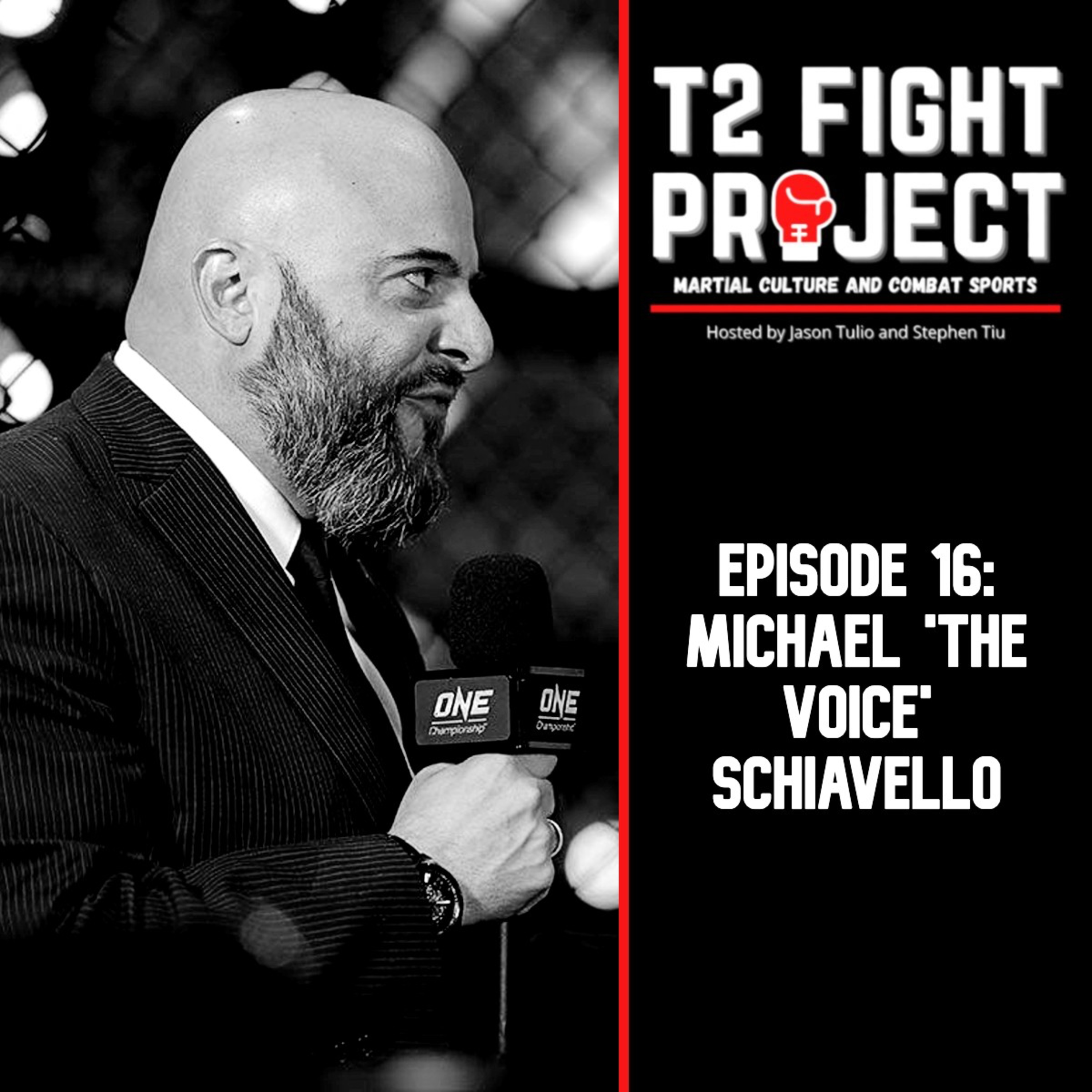 T2 Fight Project