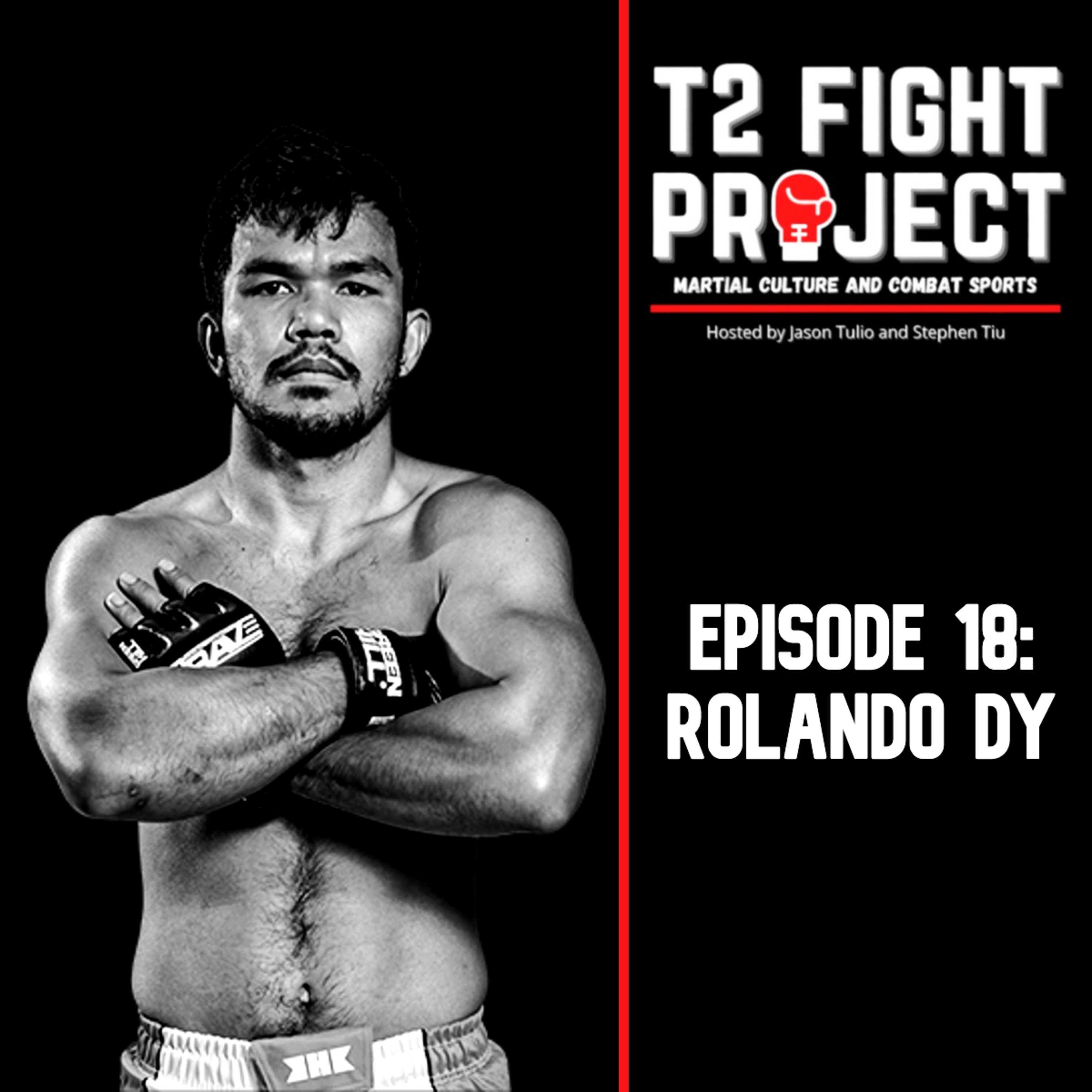 T2 Fight Project