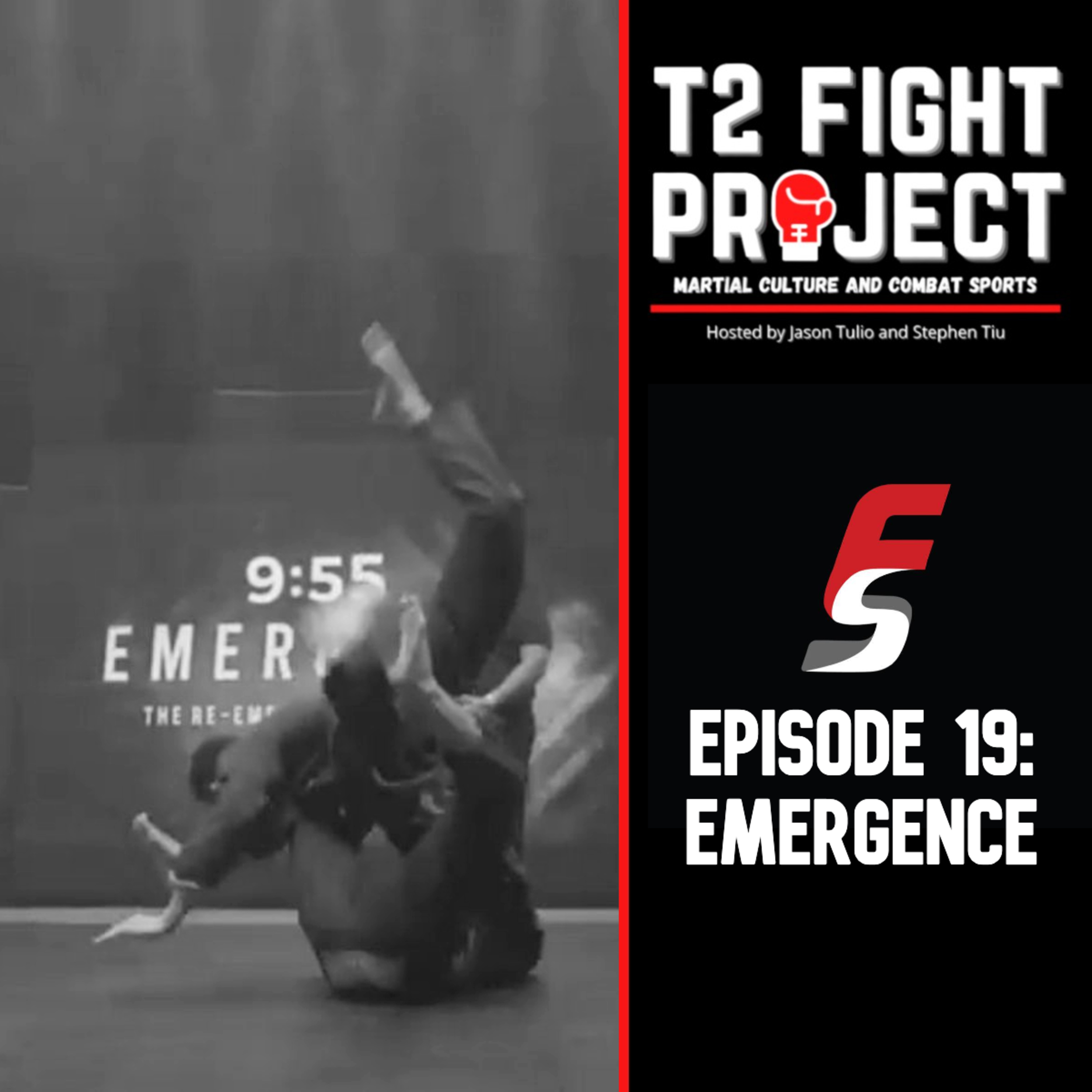 T2 Fight Project