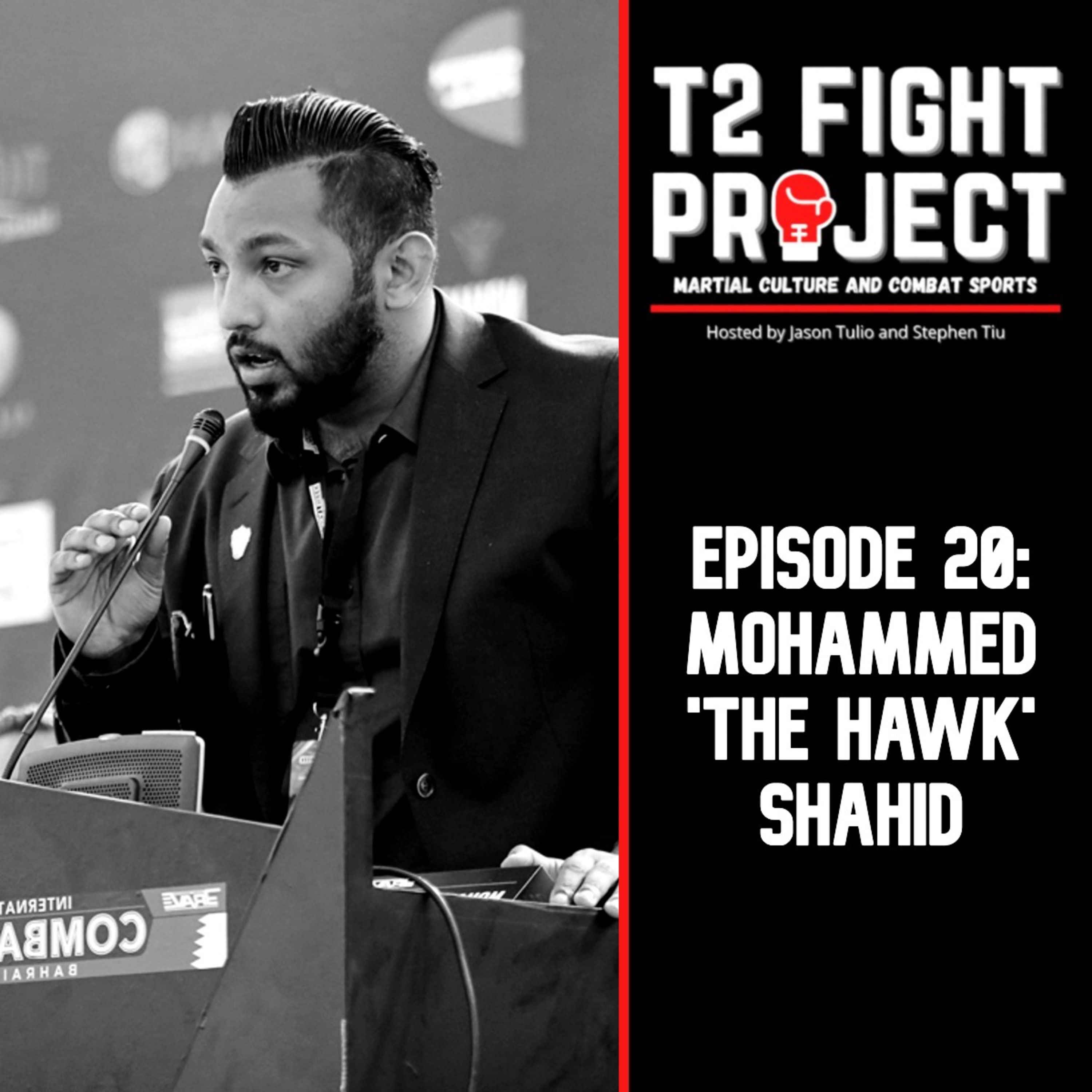 T2 Fight Project