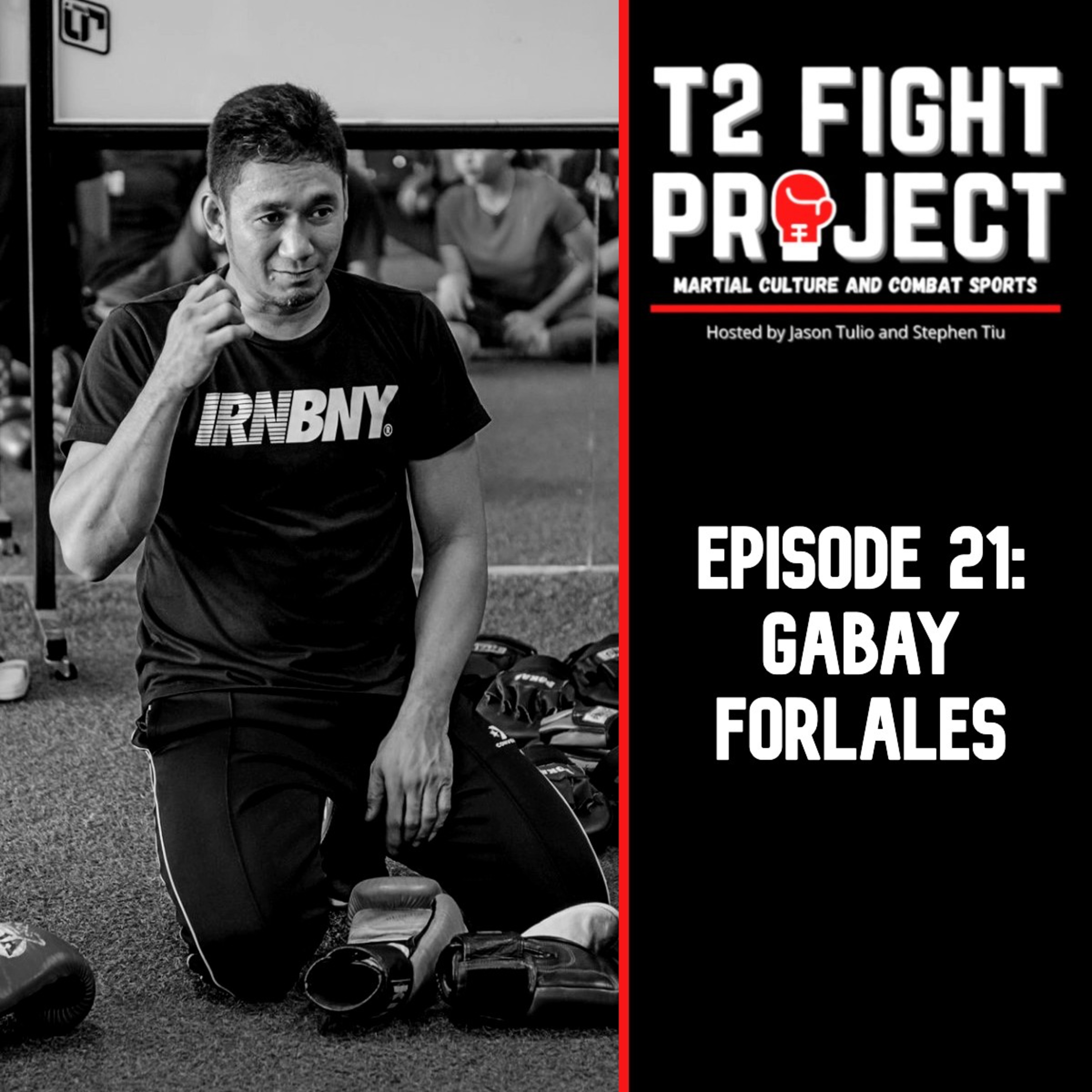 T2 Fight Project