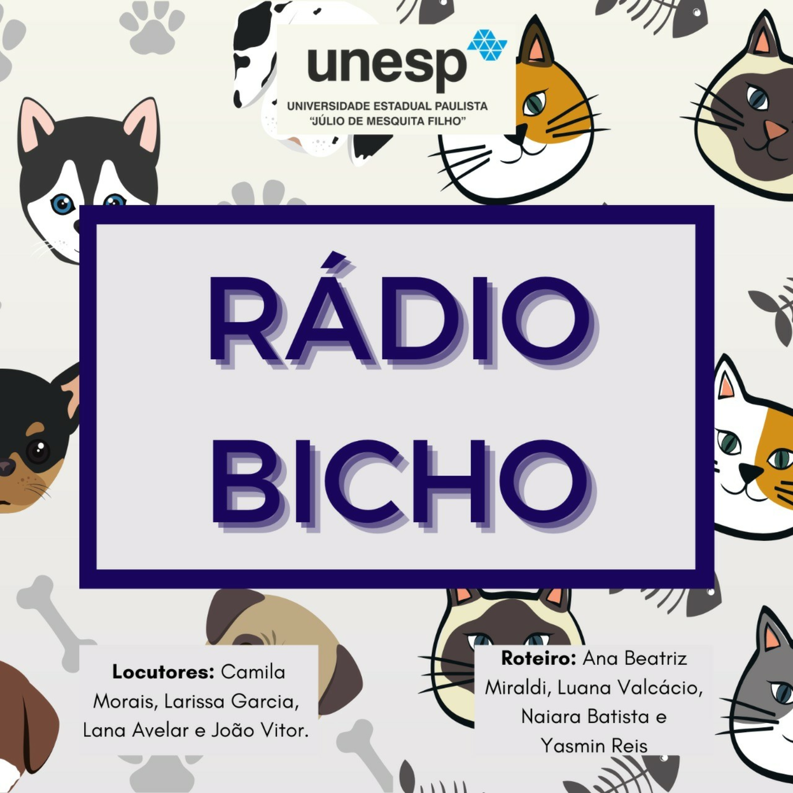 Pets em uma viagem com segurança
