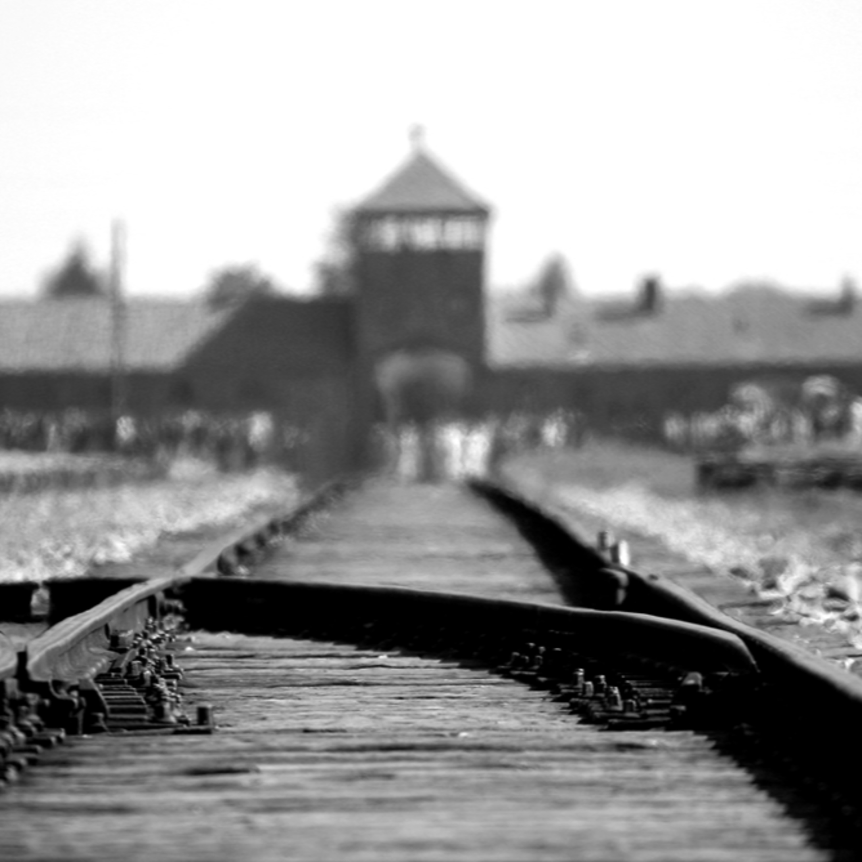 De Dharmatoevlucht podcast