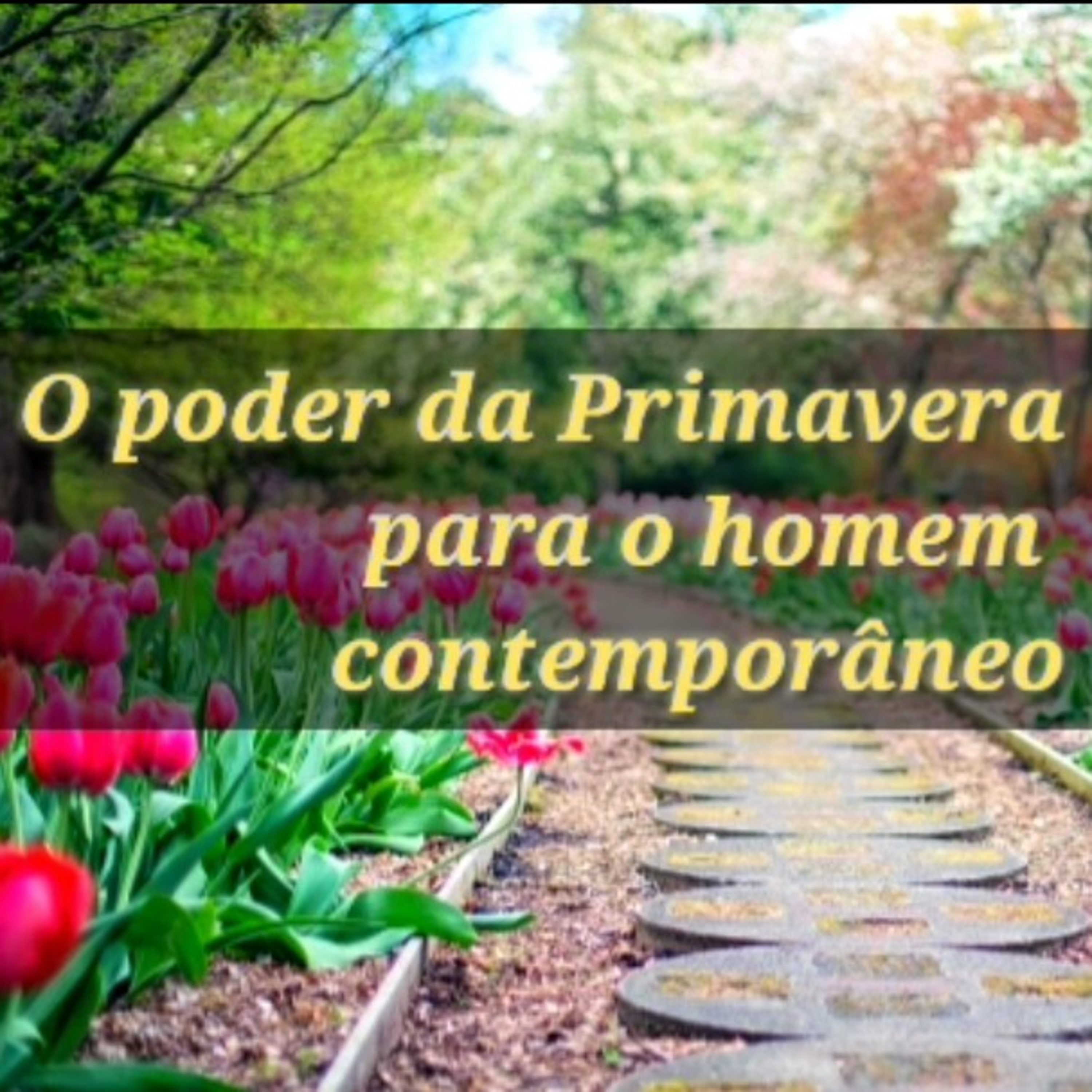 A Jornada do Guerreiro da Luz Ano20/21