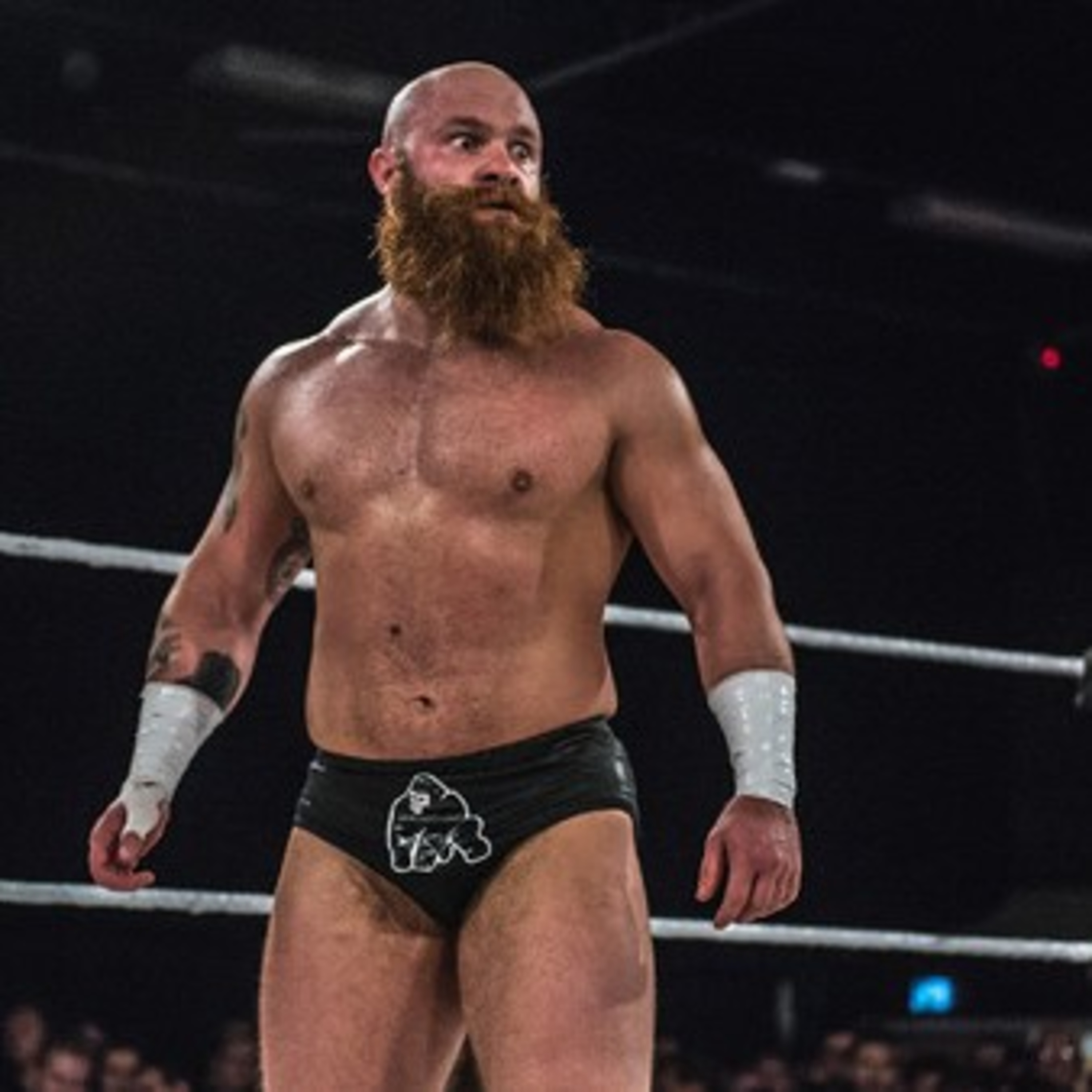 Primate WCPW Entrance Theme  episode artwork