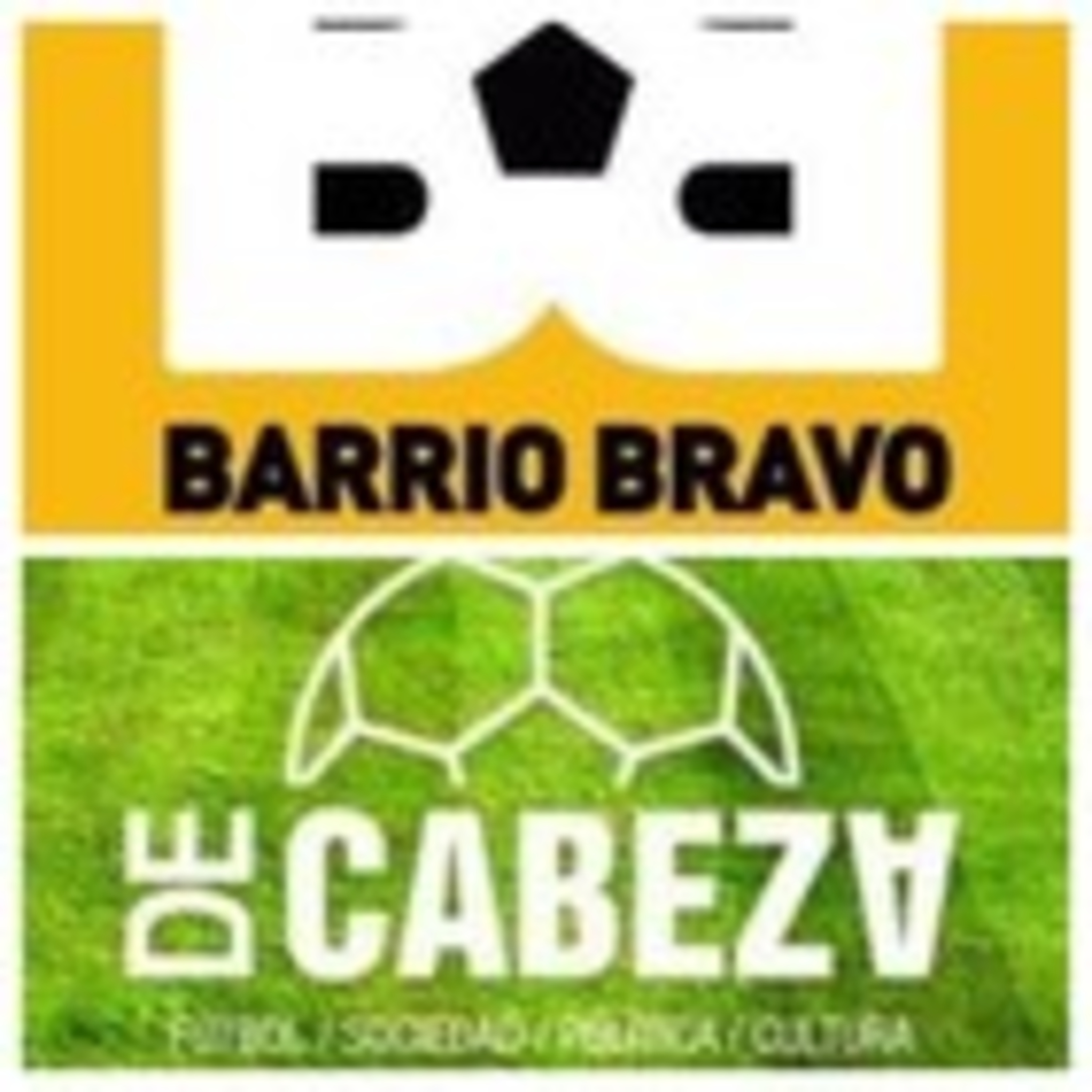 Libros a la cancha
