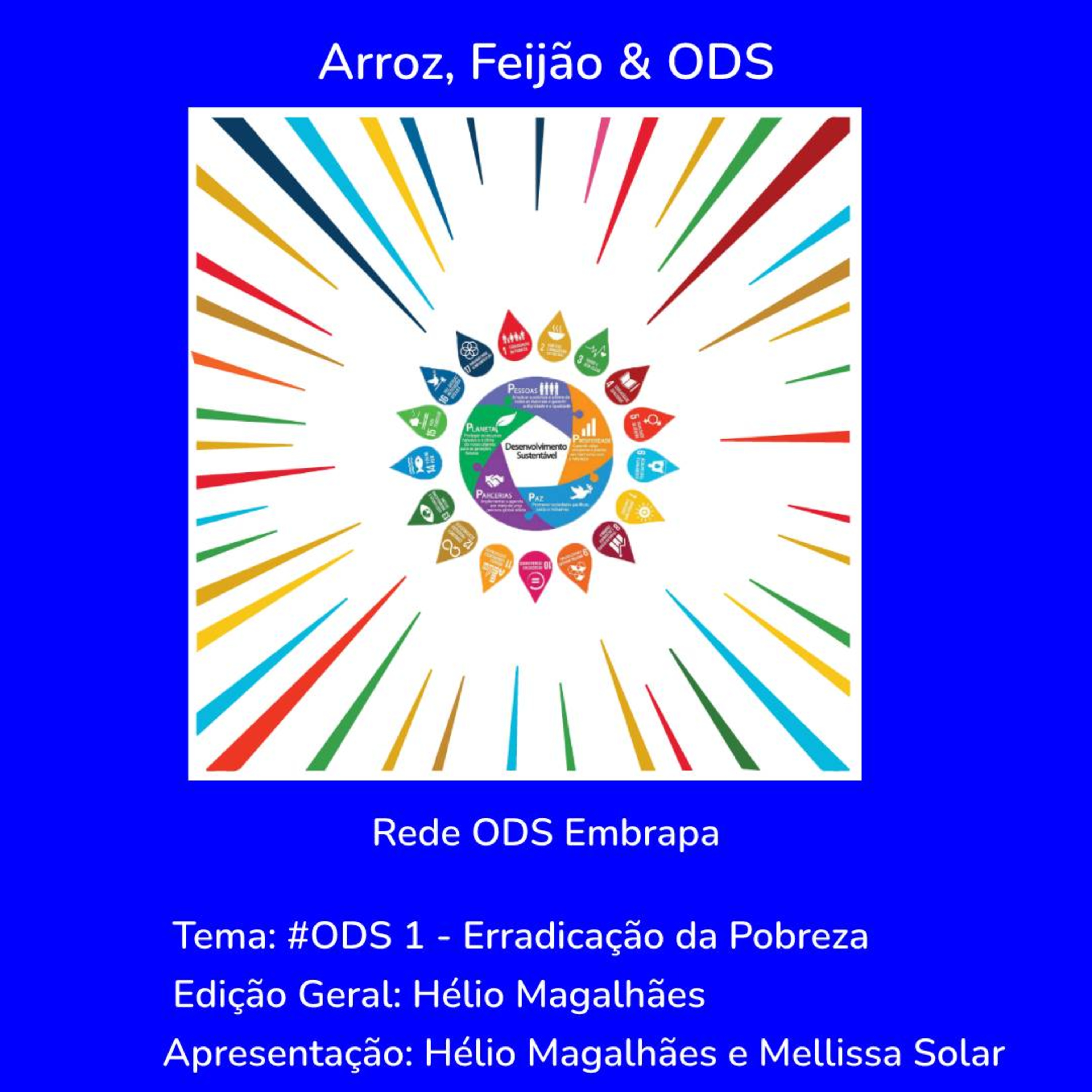 # ODS 1 - Erradicação da Pobreza episode artwork