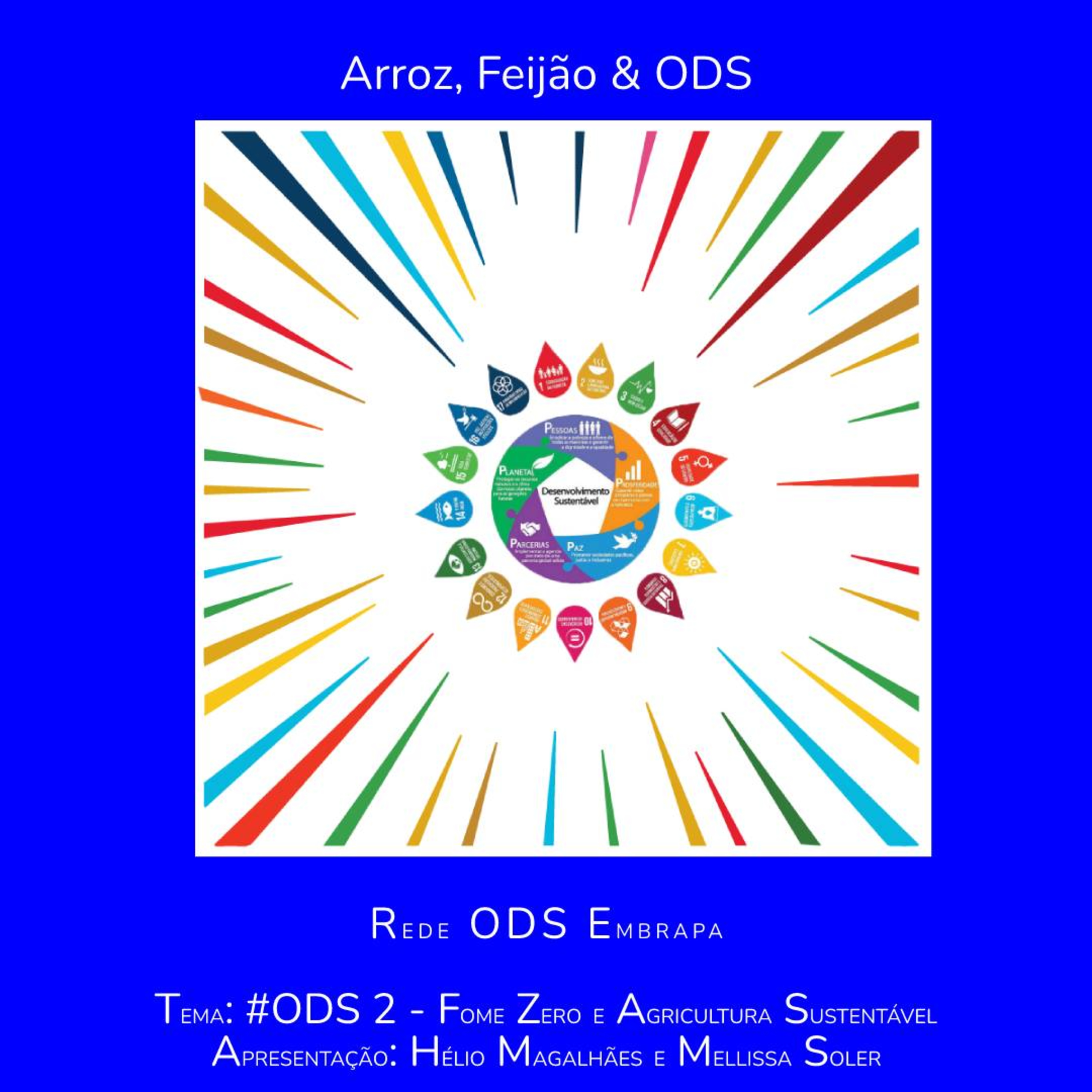 # ODS 2 - Fome Zero e Agricultura Sustentável episode artwork