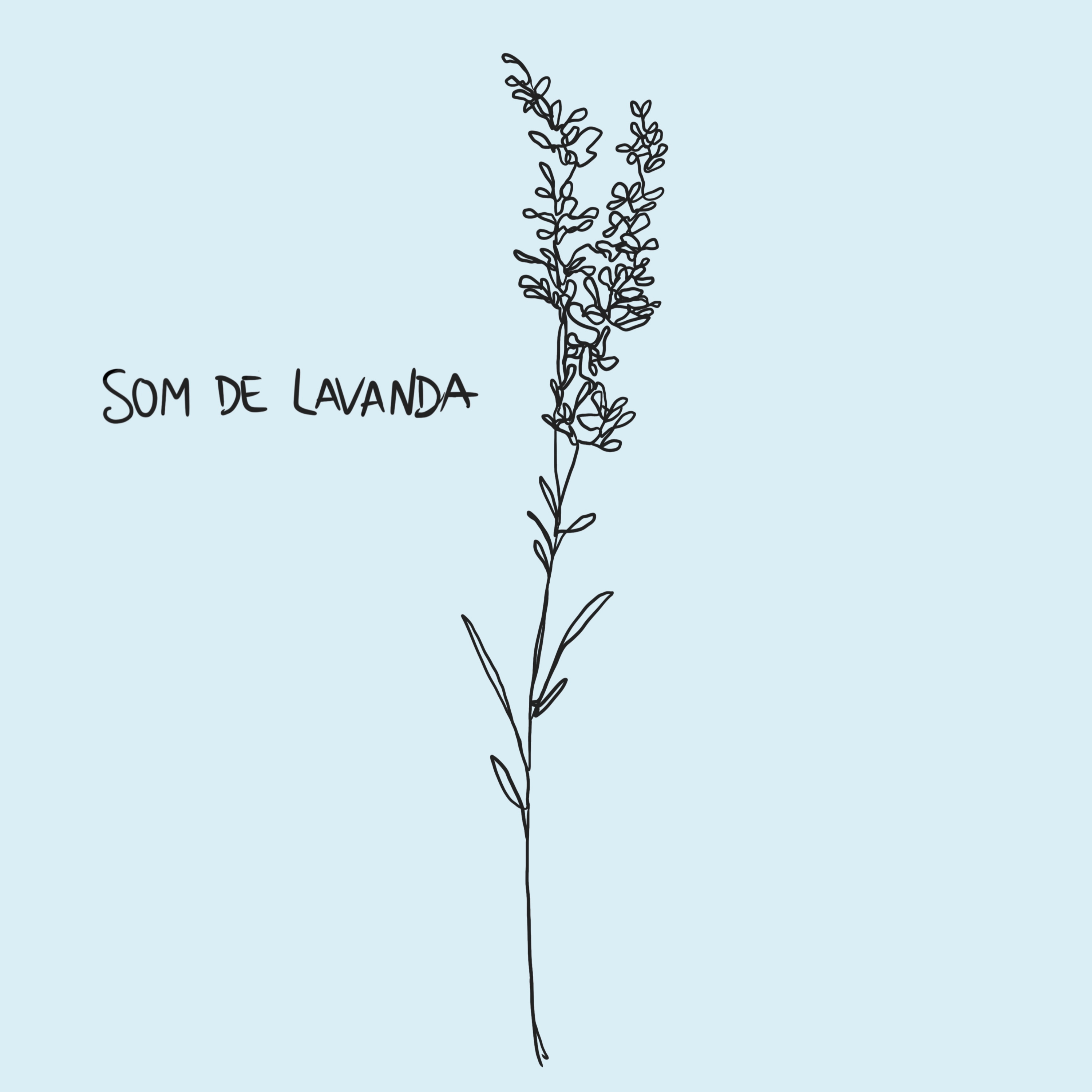 Som de Lavanda