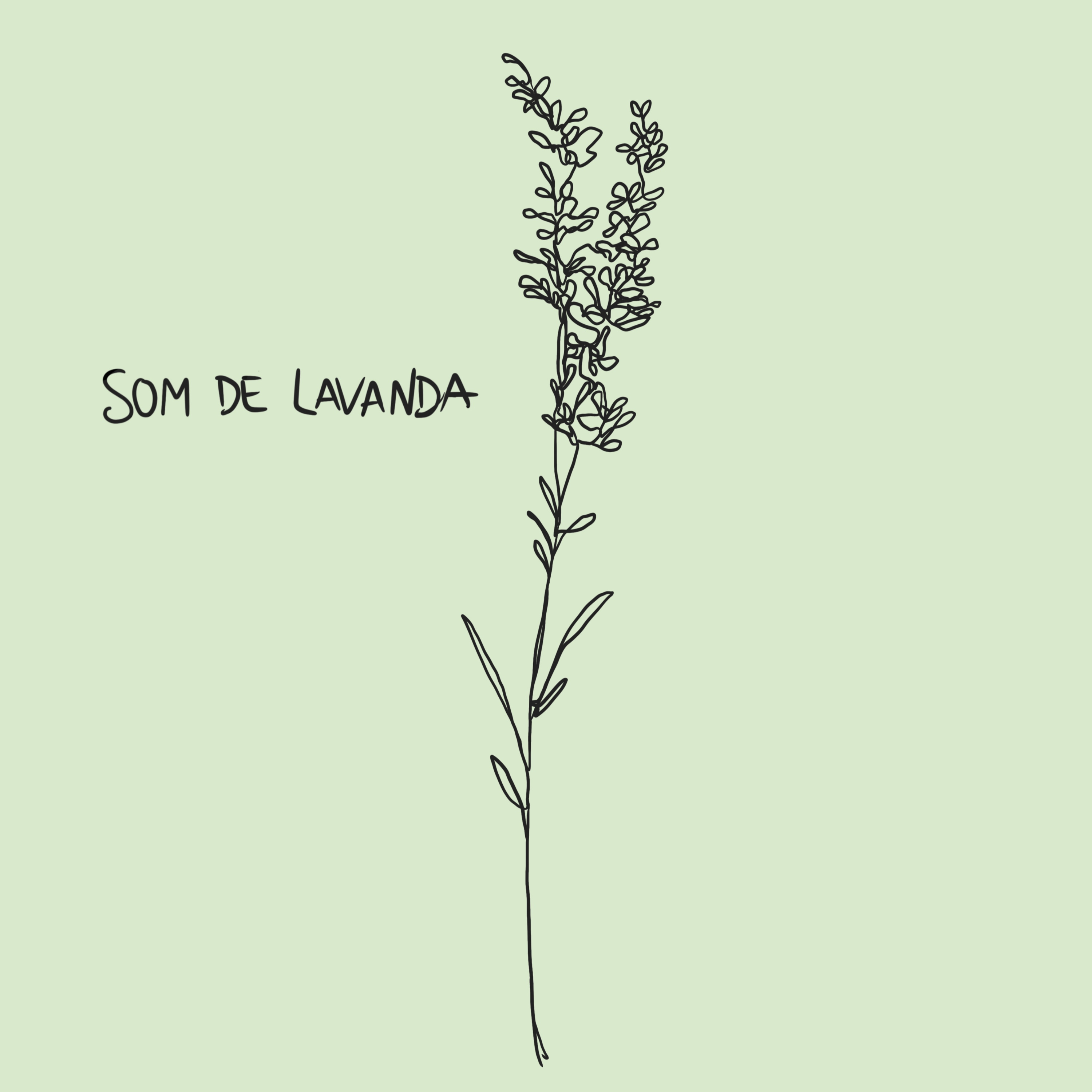 Som de Lavanda