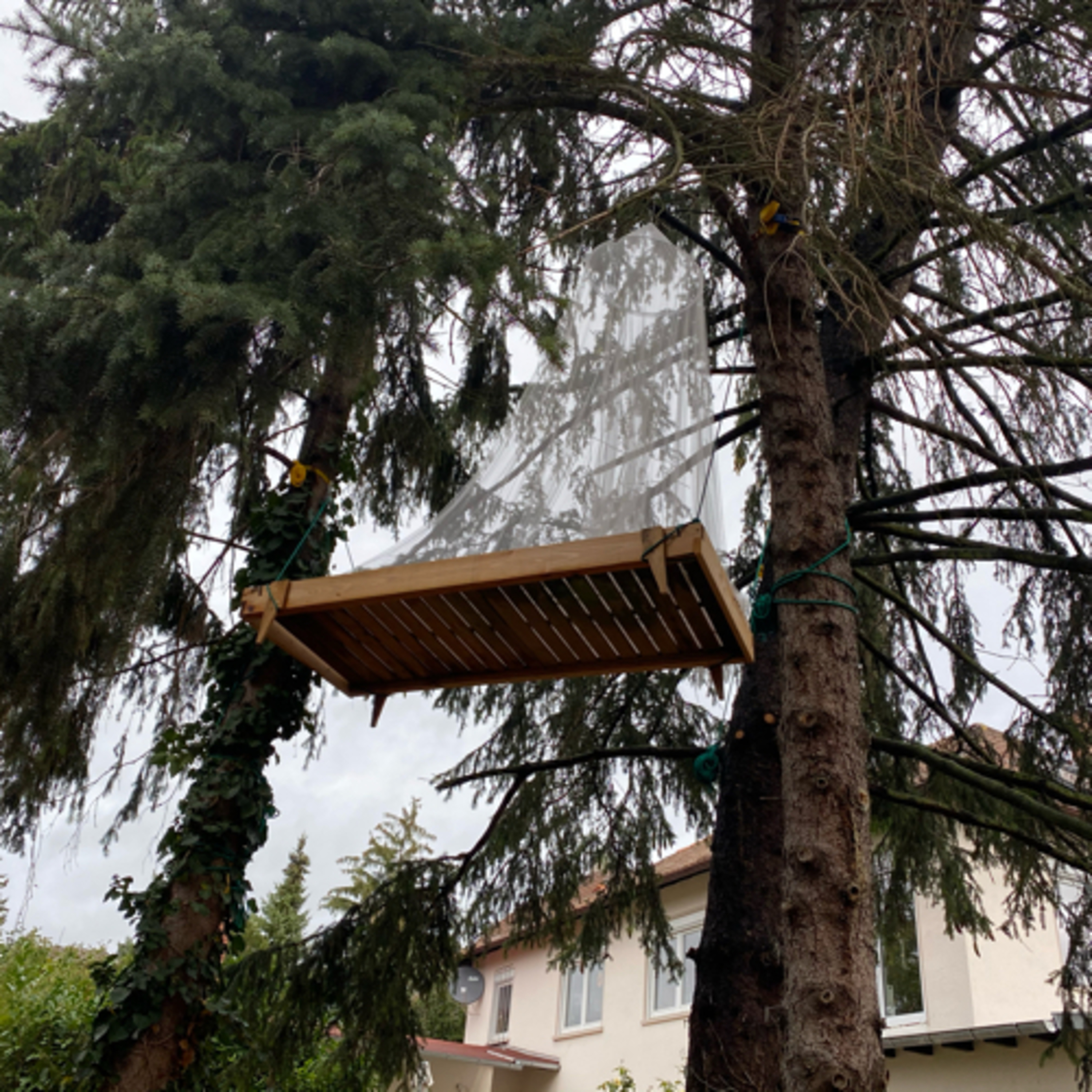 Ingelheim entdecken