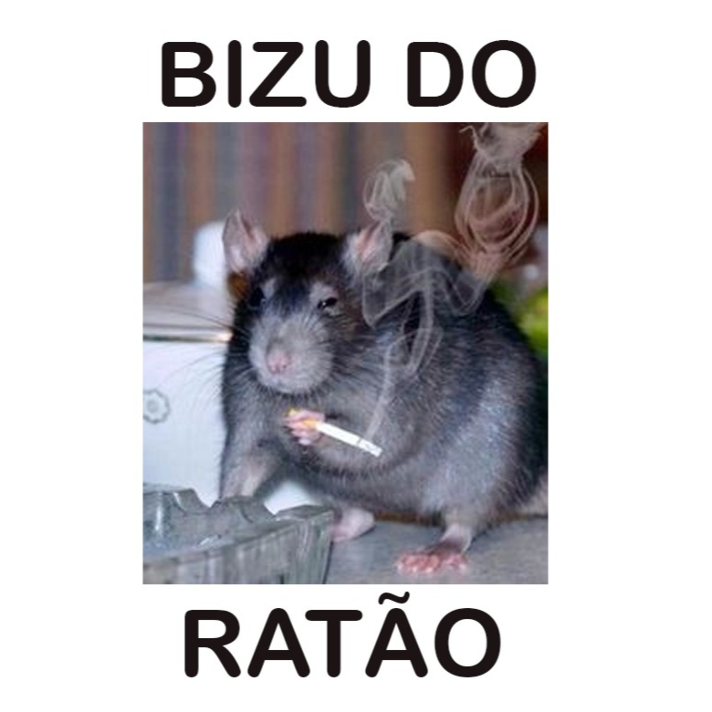 NVP Nova Vertente