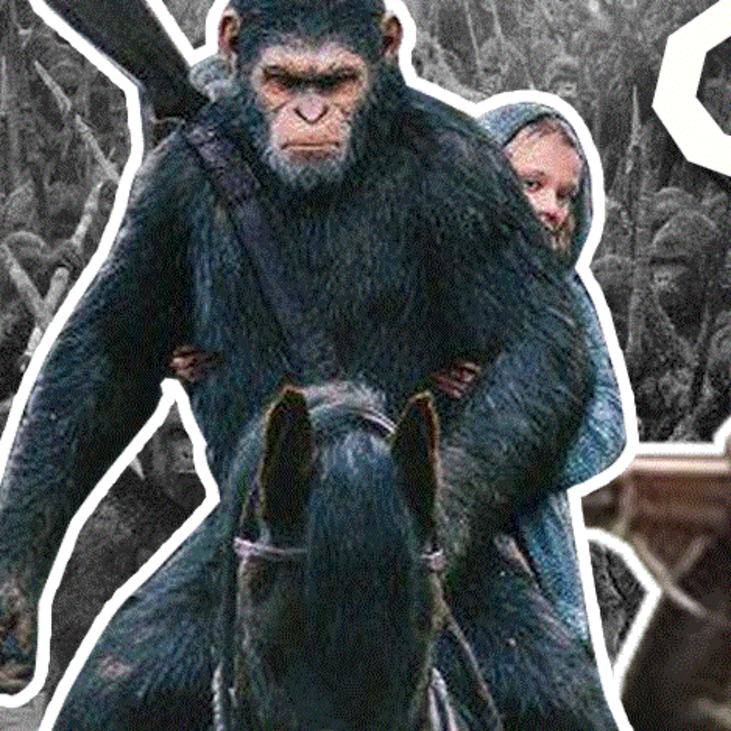Os 3 malandros - Rio zoológico de Janeiro & o surgimento das favelas - Episódio 3 episode artwork
