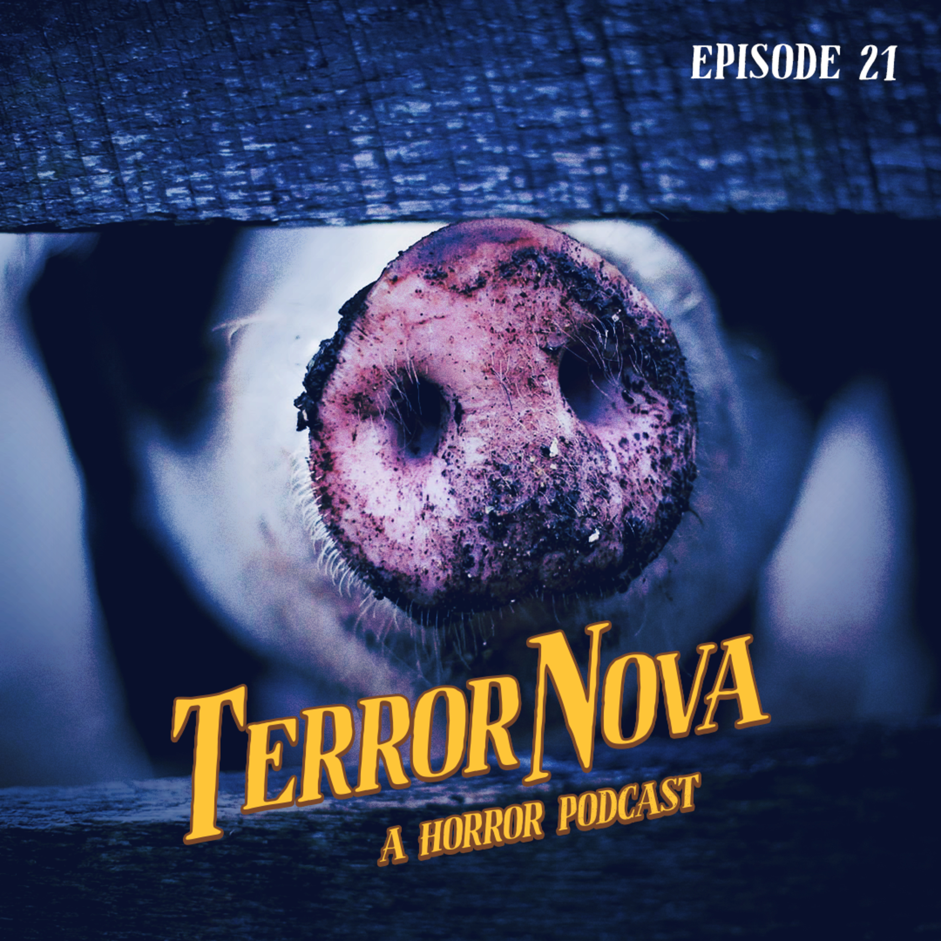 TerrorNova: A Horror Podcast