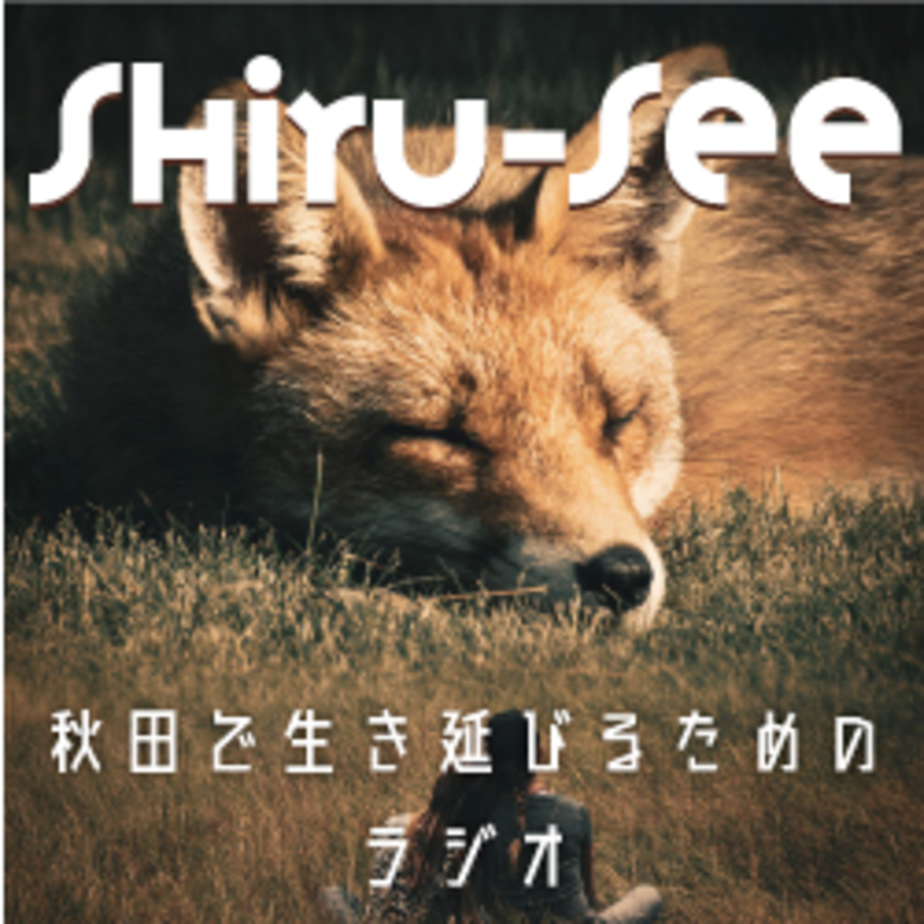 ネットラジオ【総合的・俯瞰的な貞子】SHIRU-SEE　10 episode artwork