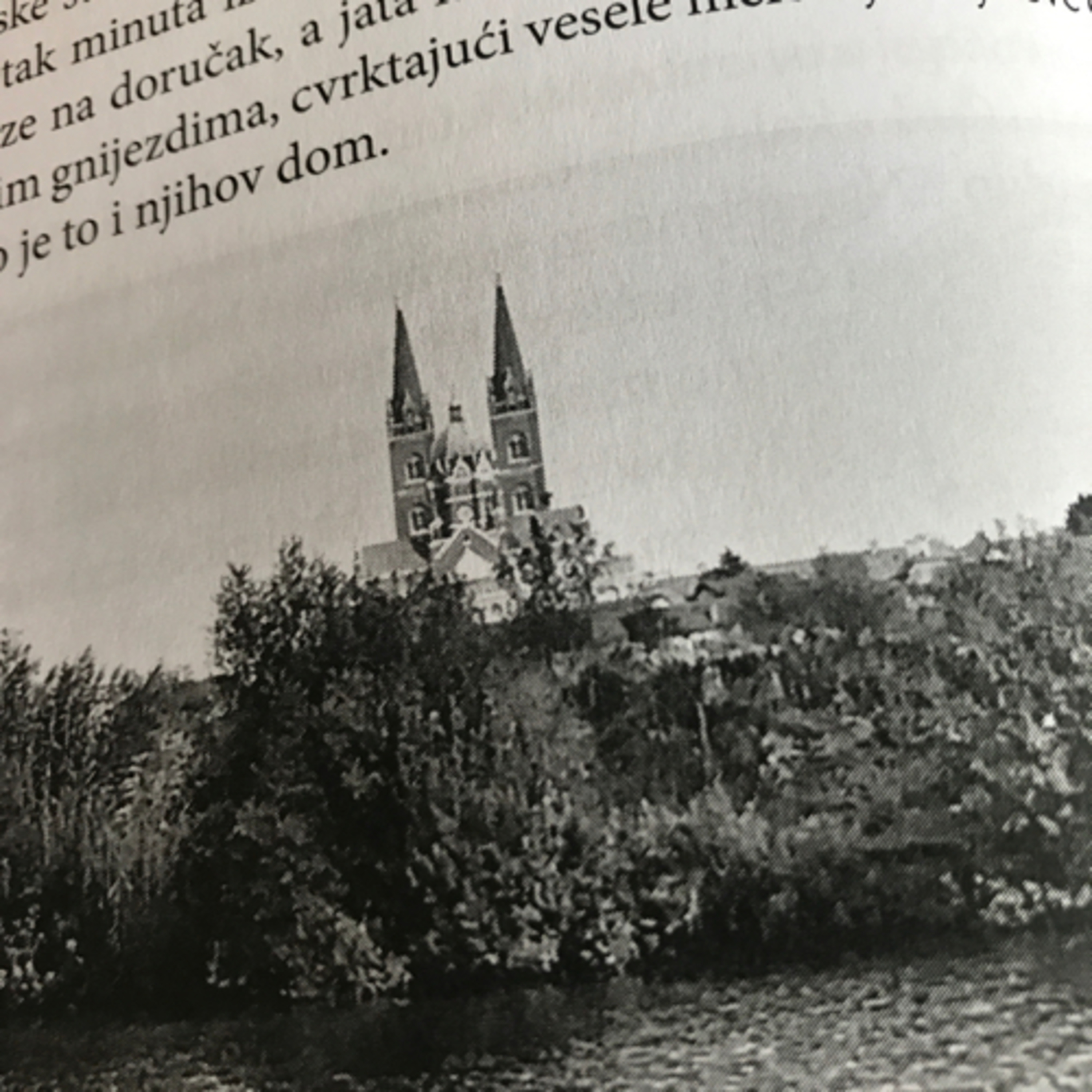 Sto godina “Vuk-asa”, a tko zna možda i puno više episode artwork