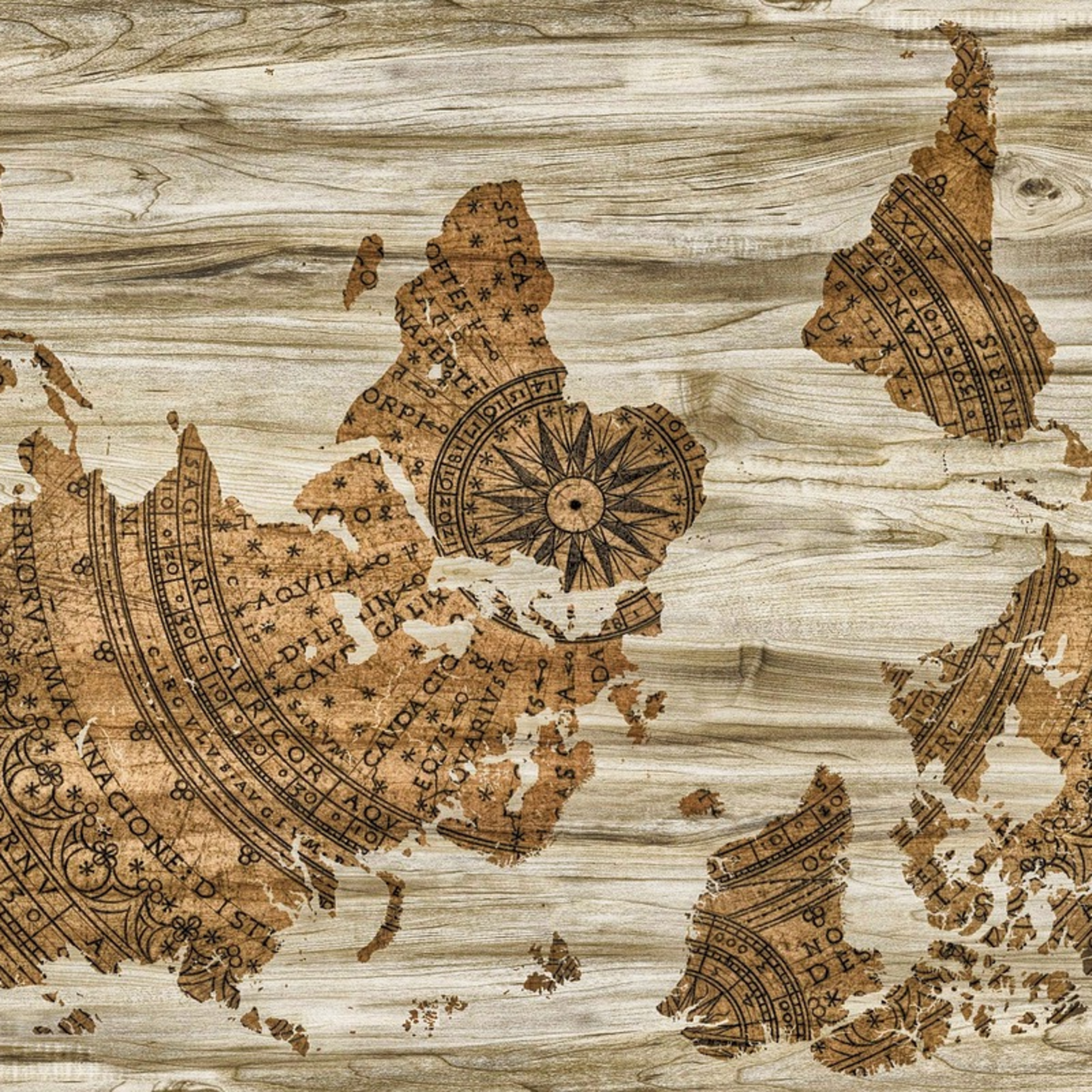 Geografia na vida