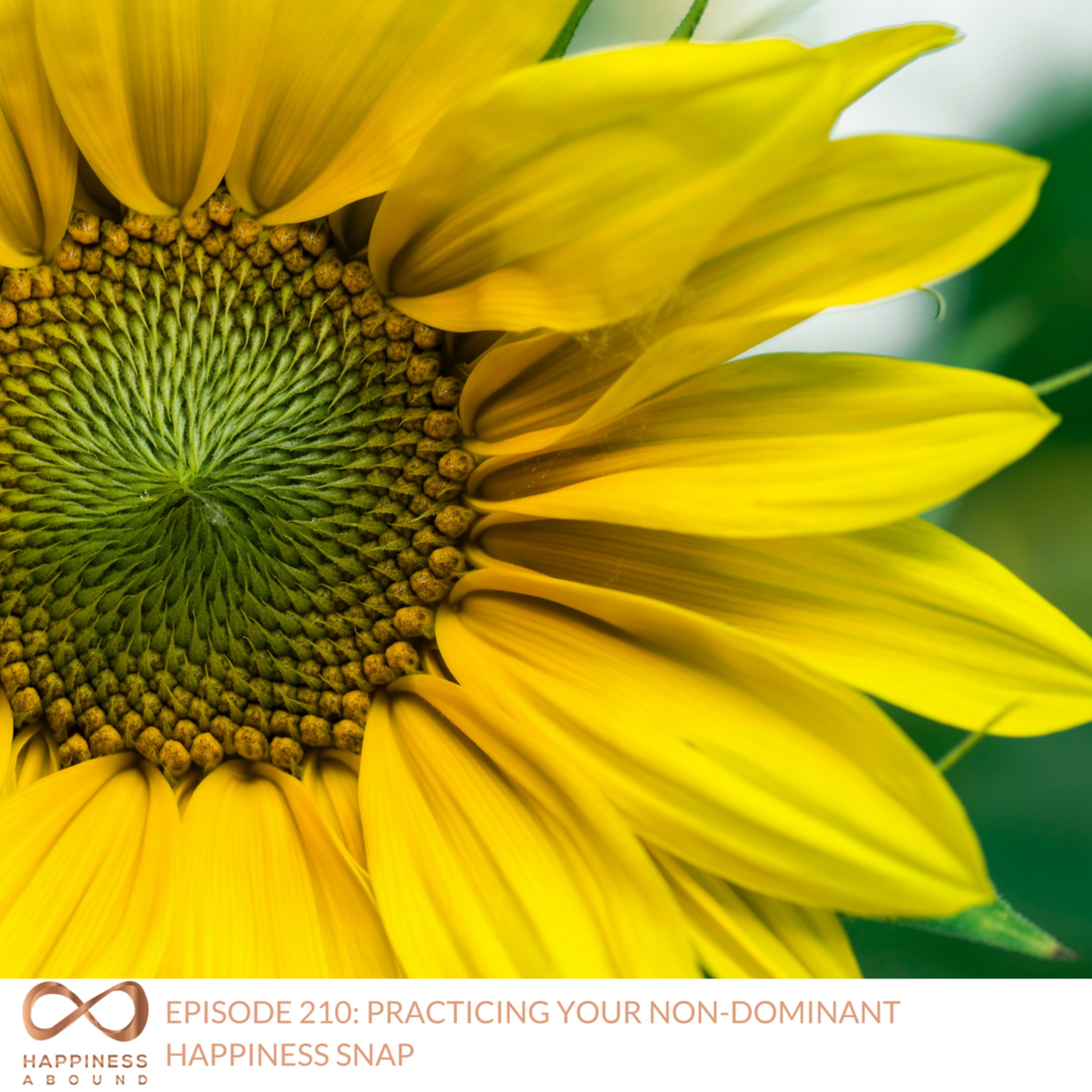 #210: PRACTICING YOUR NON-DOMINANT HAPPINESS SNAP episode artwork