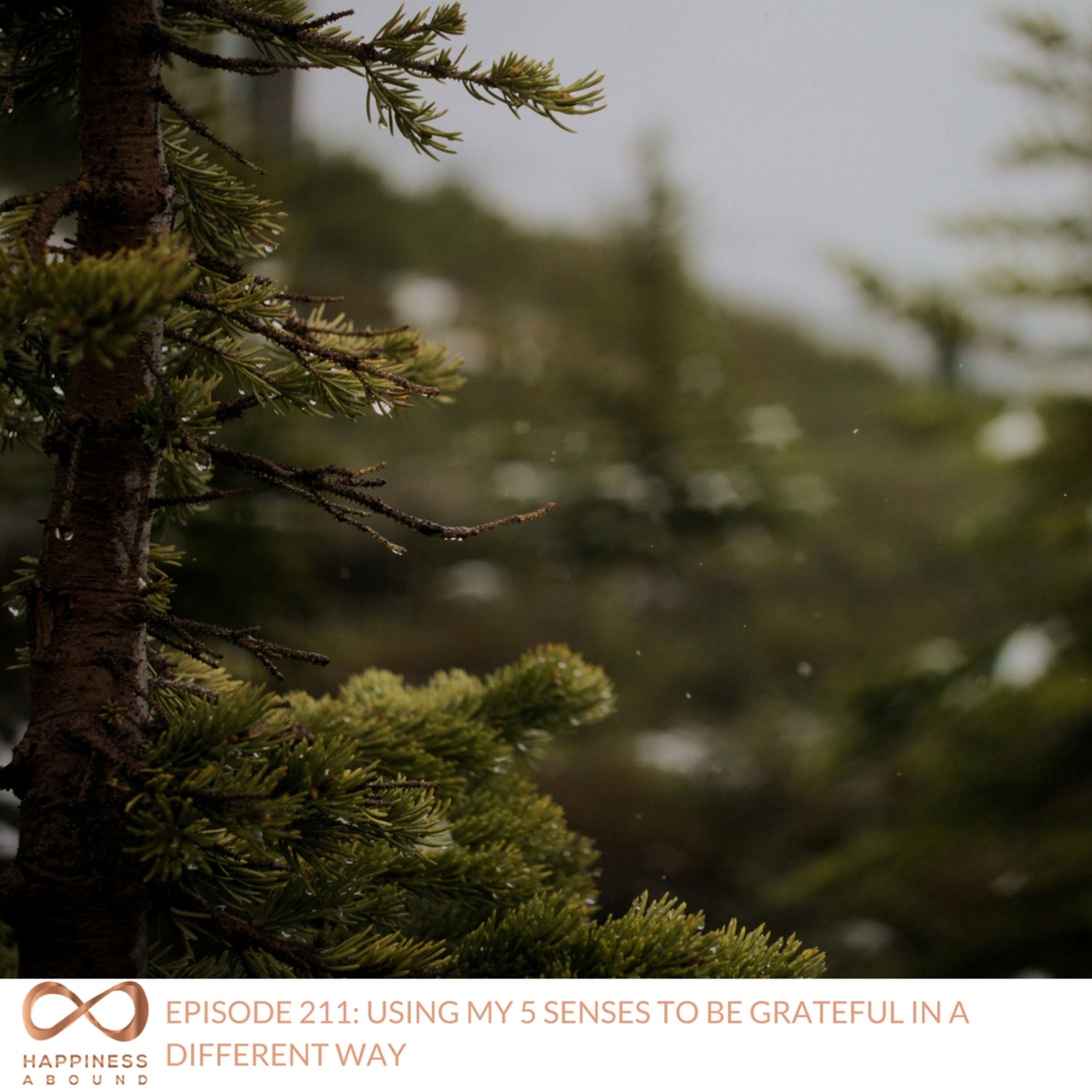 #211: USING MY 5 SENSES TO BE GRATEFUL IN A DIFFERENT WAY