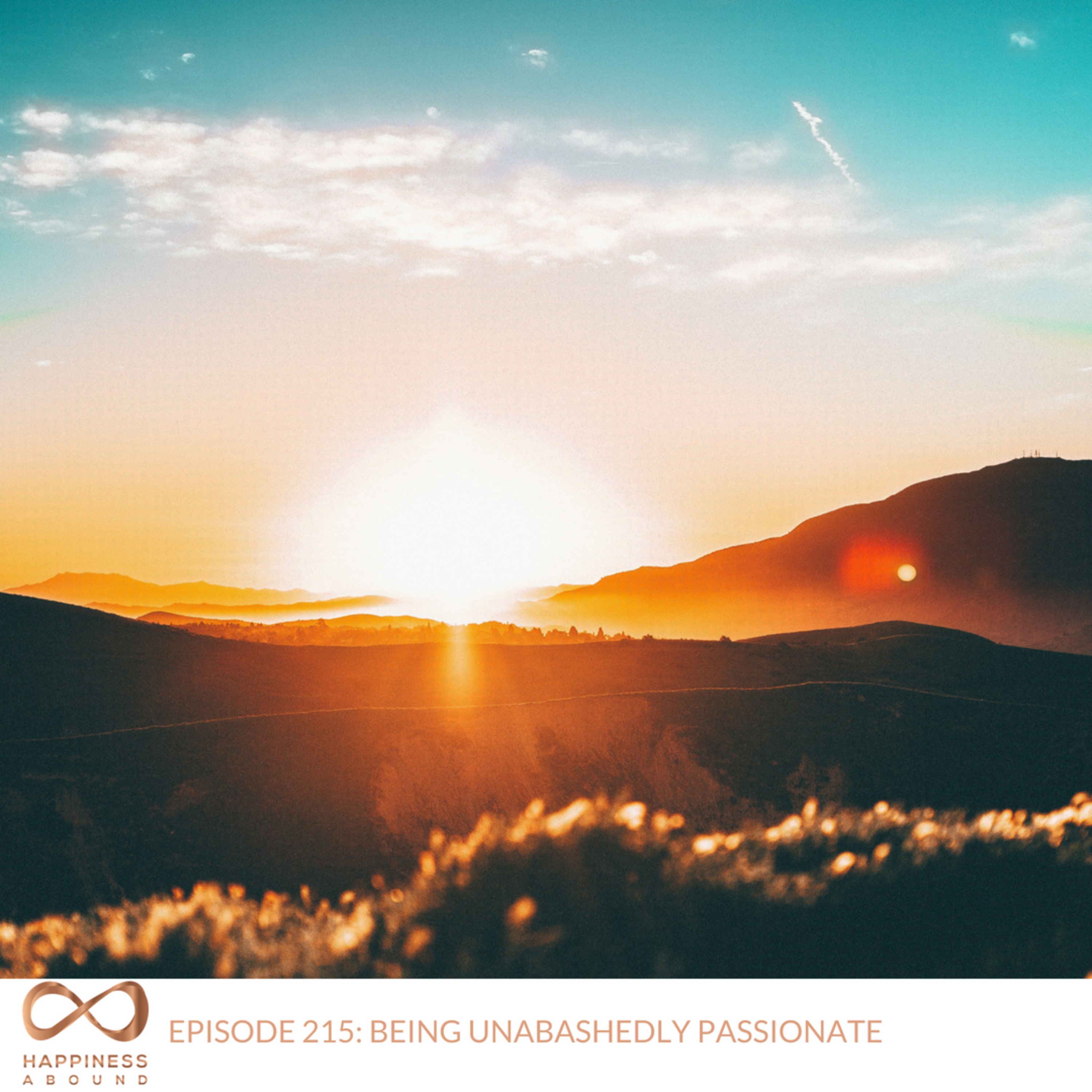 #215: BEING UNABASHEDLY PASSIONATE  episode artwork