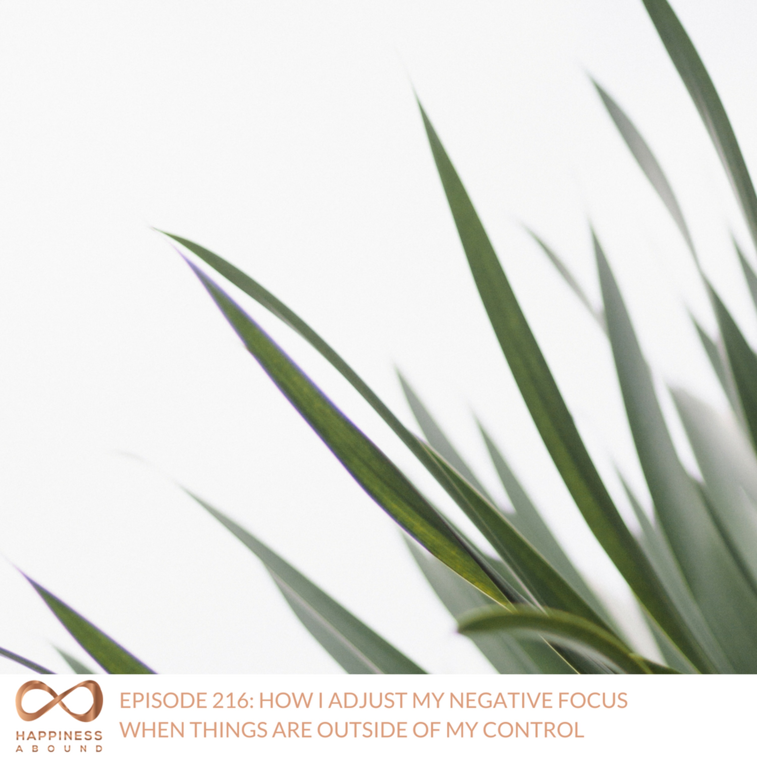 #216: HOW I ADJUST MY NEGATIVE FOCUS WHEN THINGS ARE OUTSIDE OF MY CONTROL episode artwork
