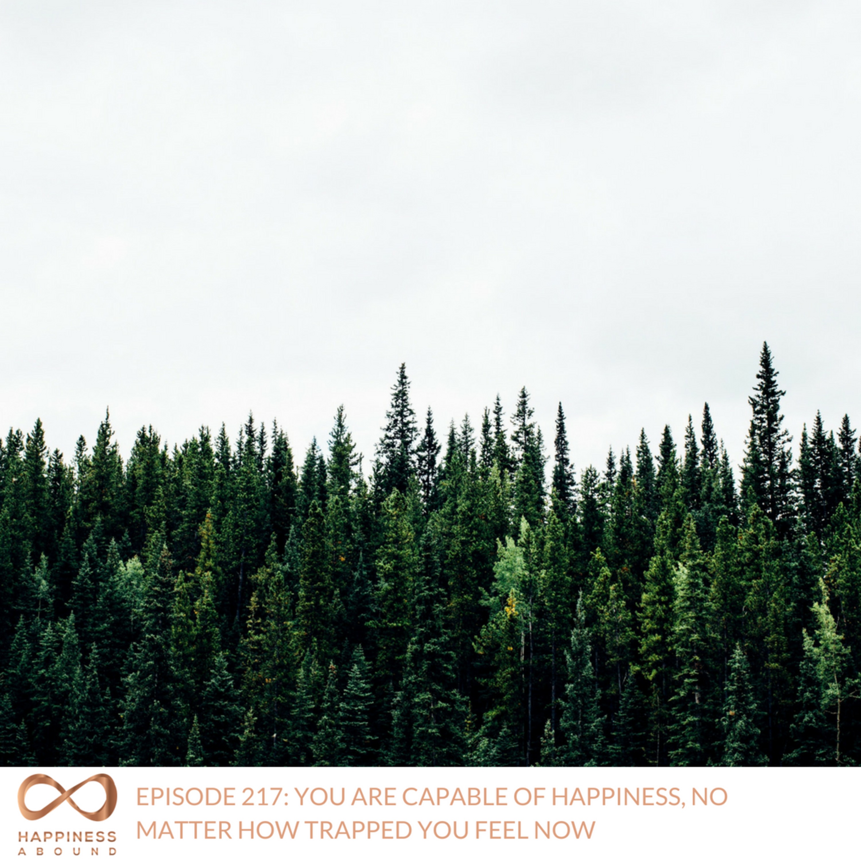 #217: YOU ARE CAPABLE OF HAPPINESS, NO MATTER HOW TRAPPED YOU FEEL NOW episode artwork