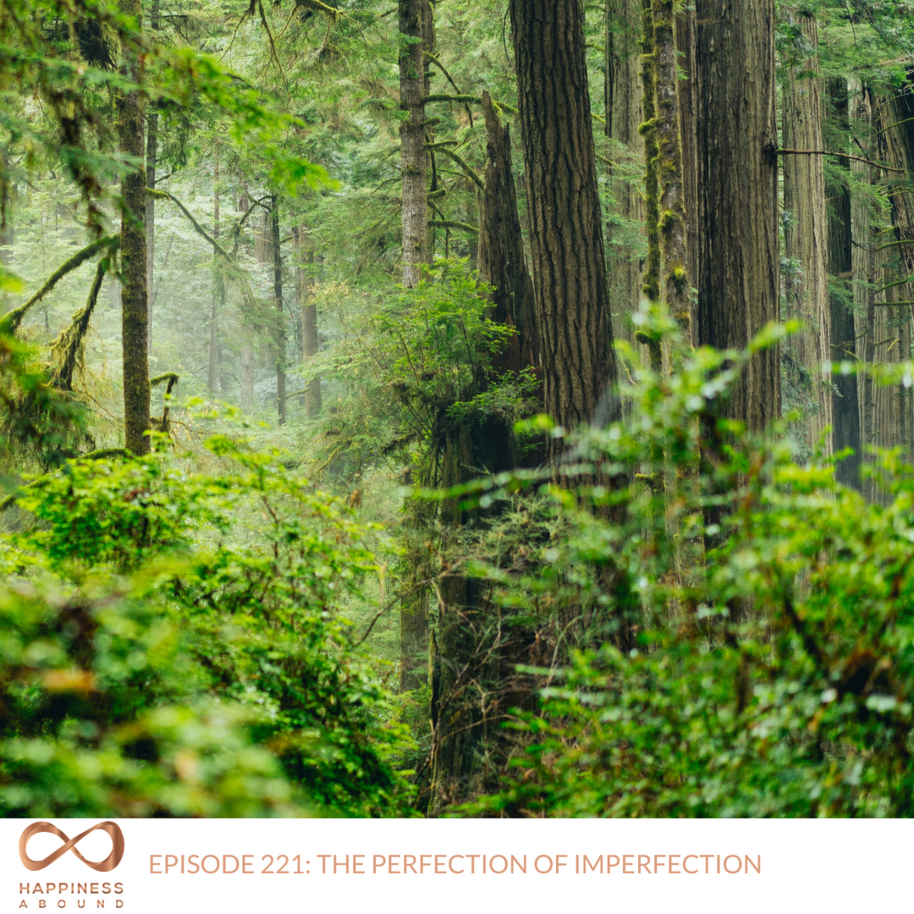 #221: THE PERFECTION OF IMPERFECTION episode artwork
