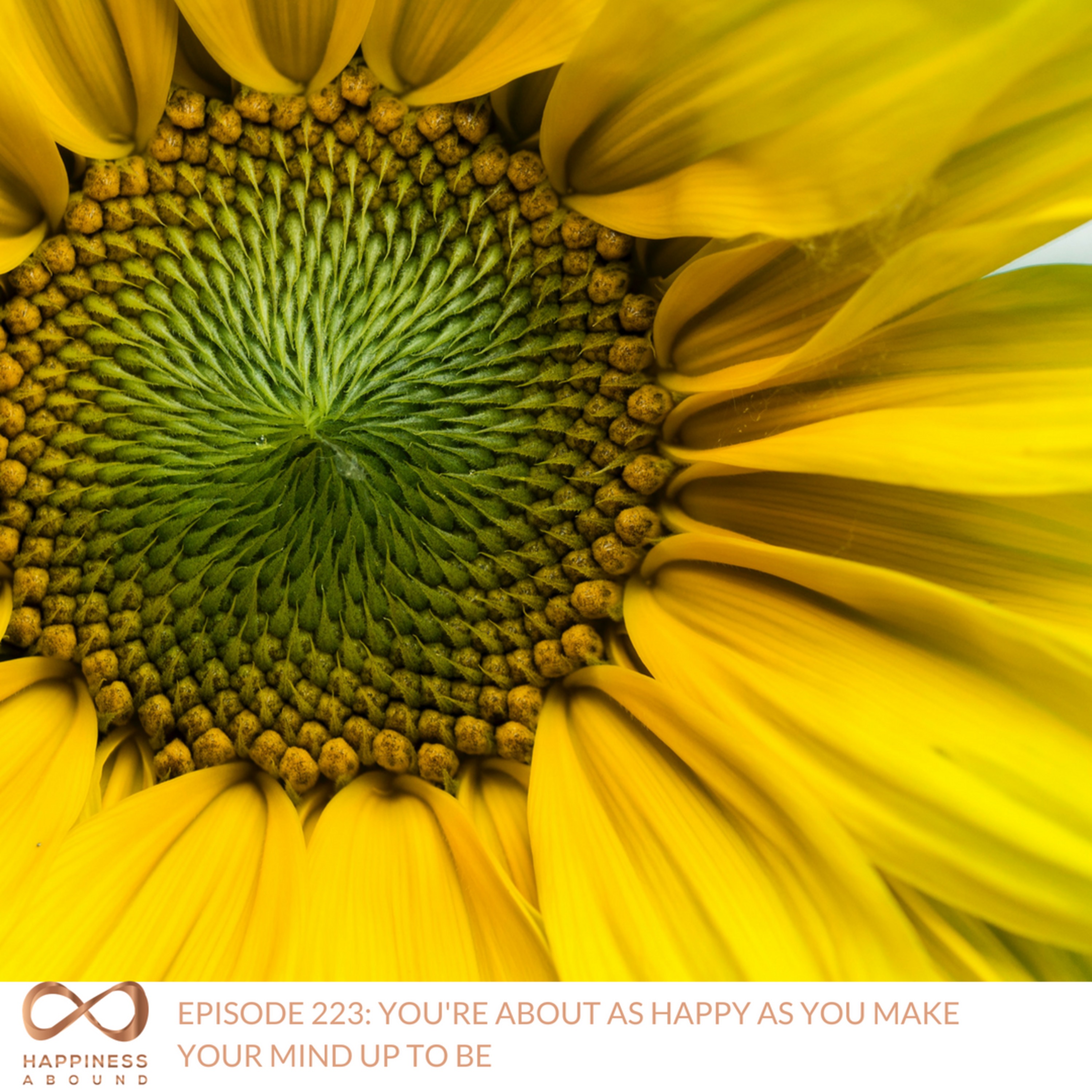 #223: YOU'RE ABOUT AS HAPPY AS YOU MAKE YOUR MIND UP TO BE episode artwork