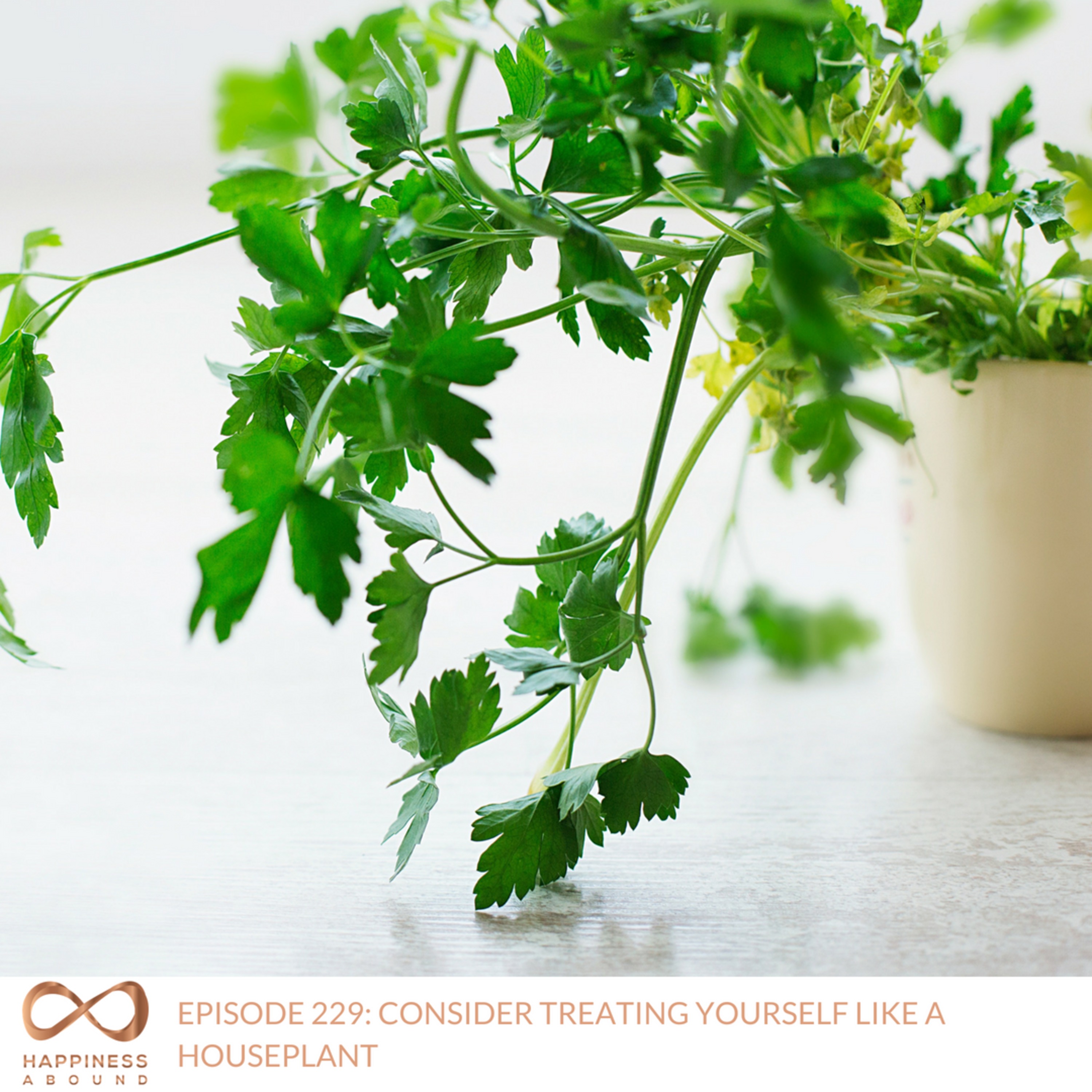 #229: CONSIDER TREATING YOURSELF LIKE A HOUSEPLANT 