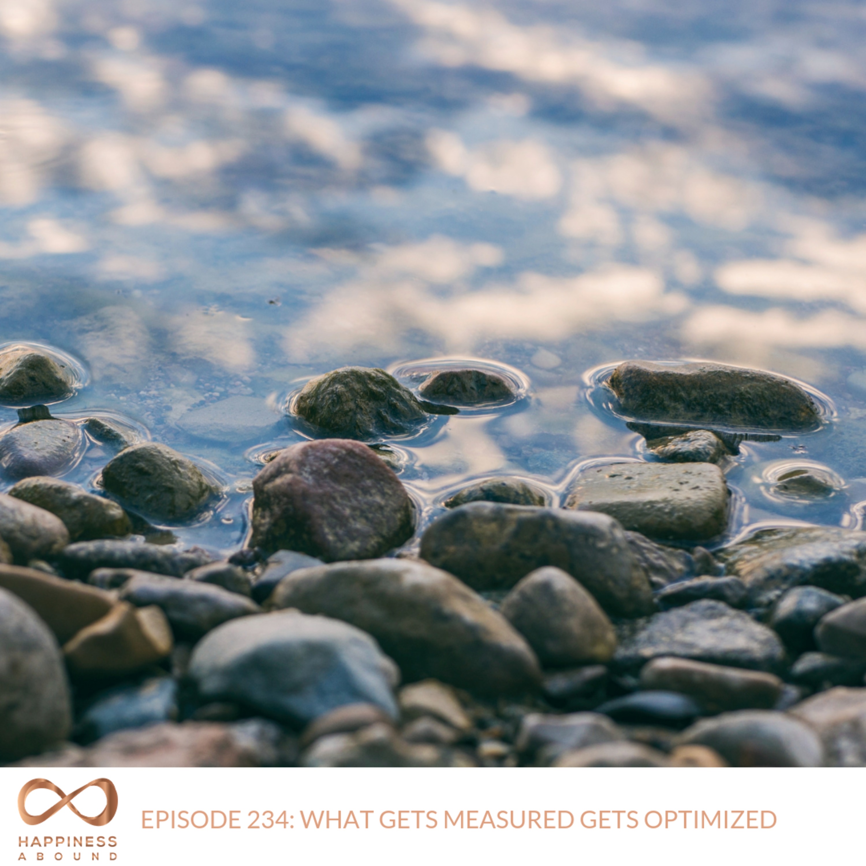 #234: WHAT GETS MEASURED GETS OPTIMIZED  episode artwork