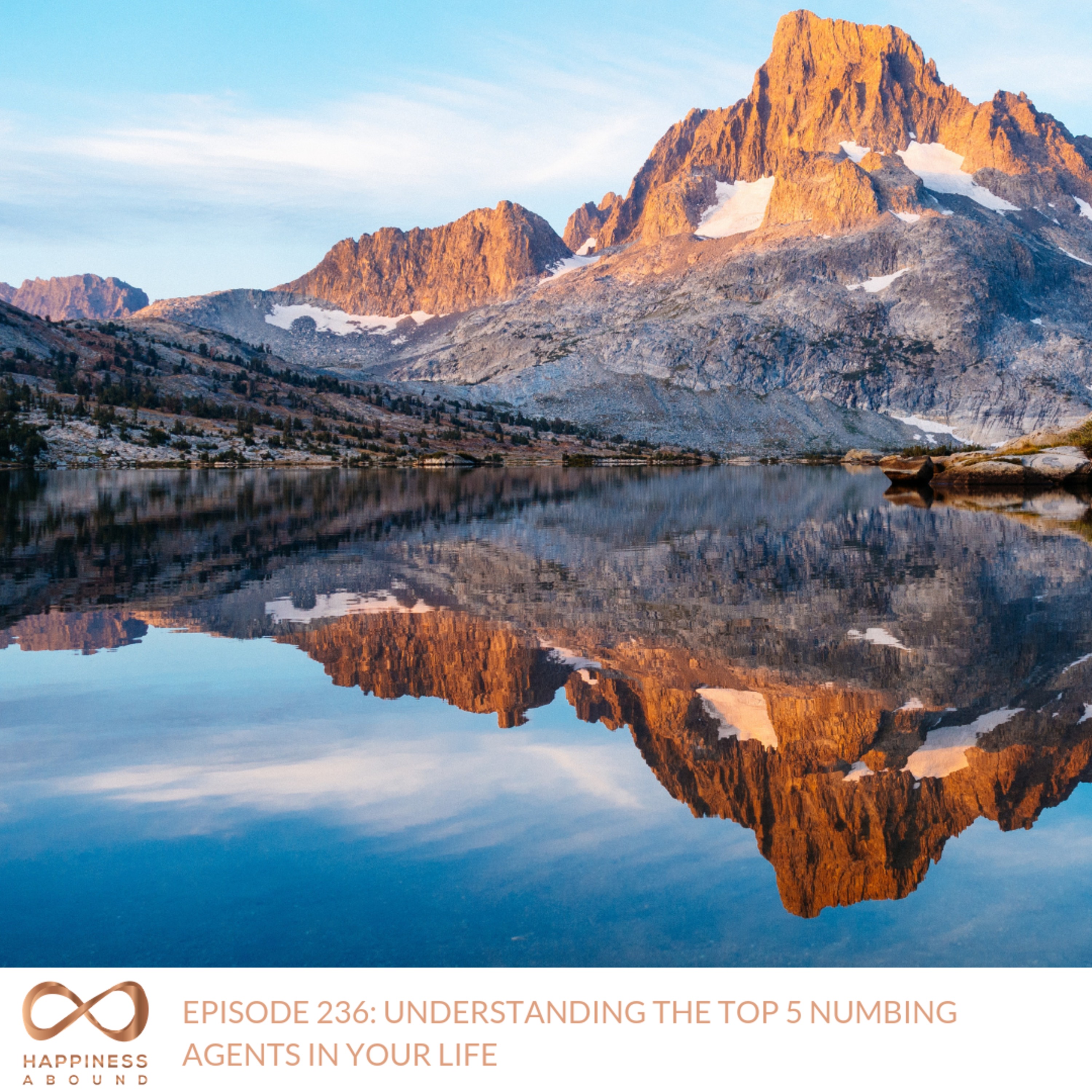 #236: UNDERSTANDING THE TOP 5 NUMBING AGENTS IN YOUR LIFE episode artwork