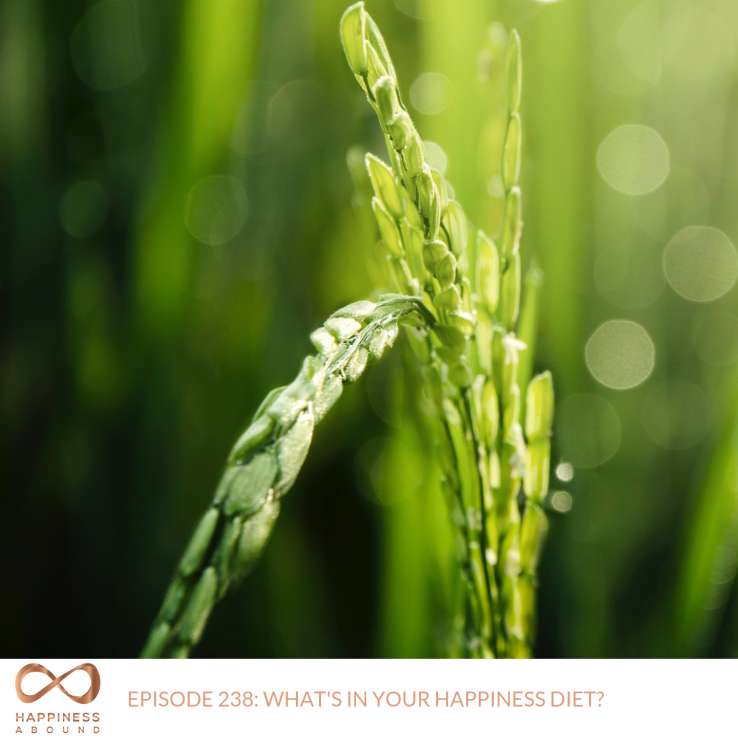 #238: WHAT'S IN YOUR HAPPINESS DIET?