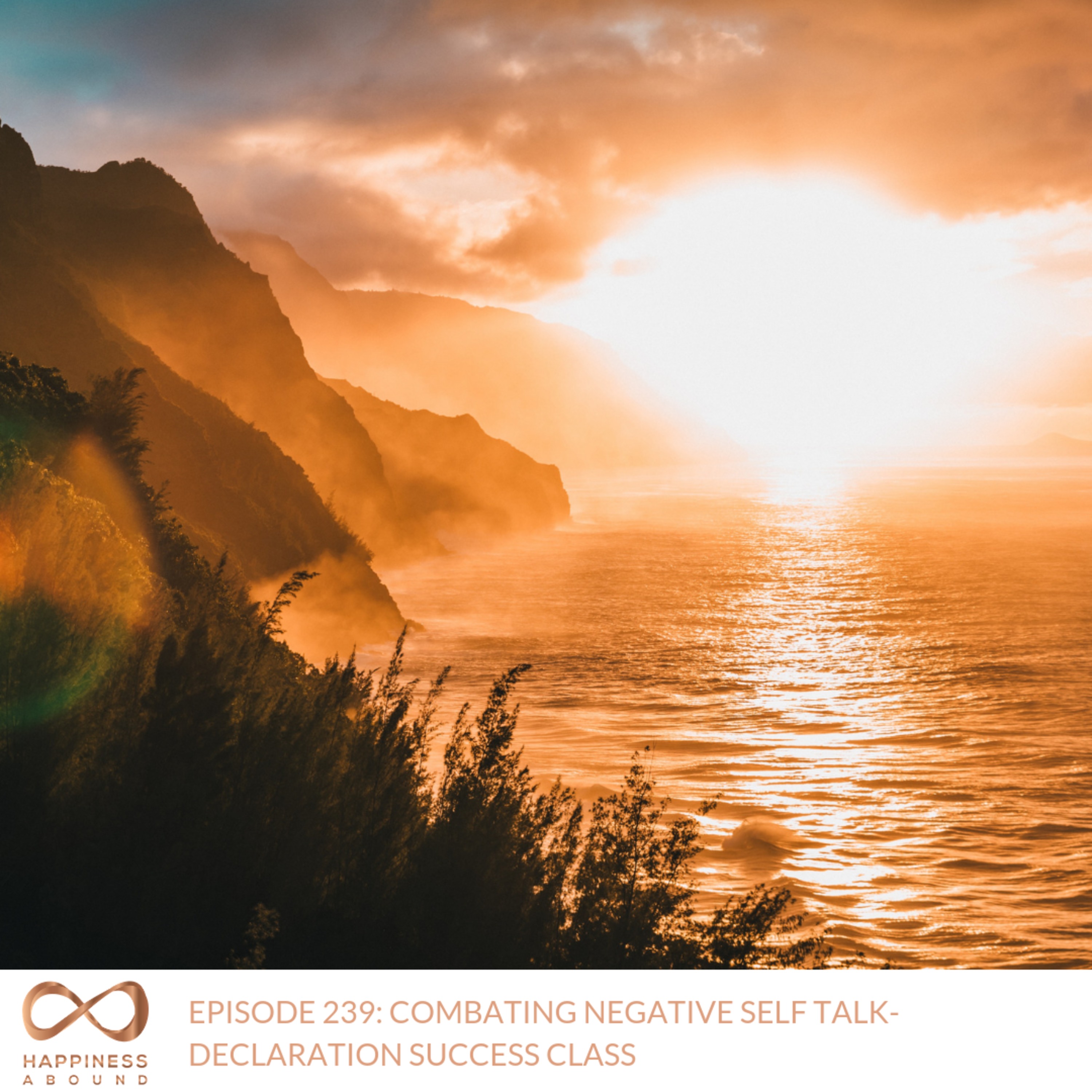 #239: COMBATING NEGATIVE SELF TALK- DECLARATION SUCCESS CLASS episode artwork