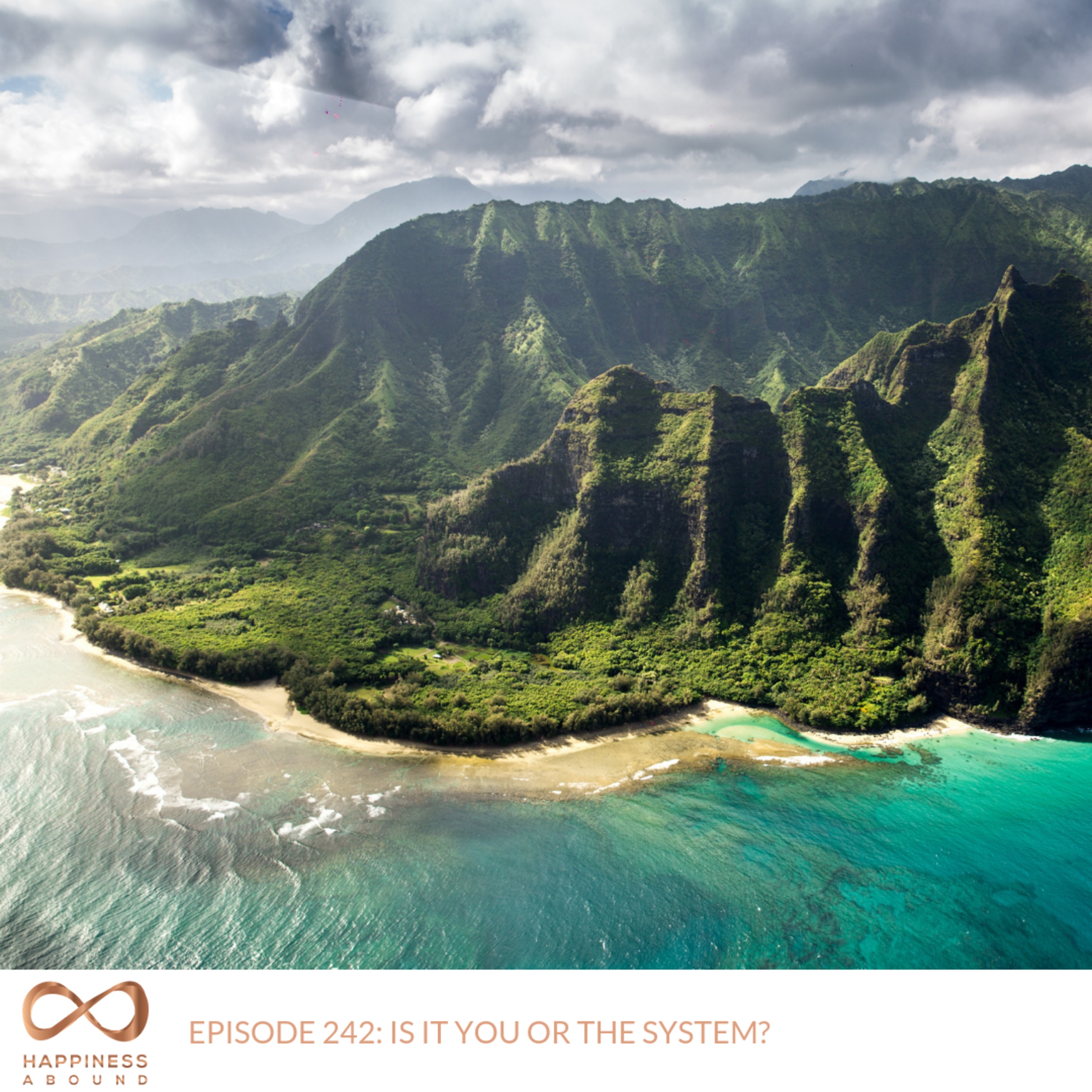 #242: IS IT YOU OR THE SYSTEM?  episode artwork