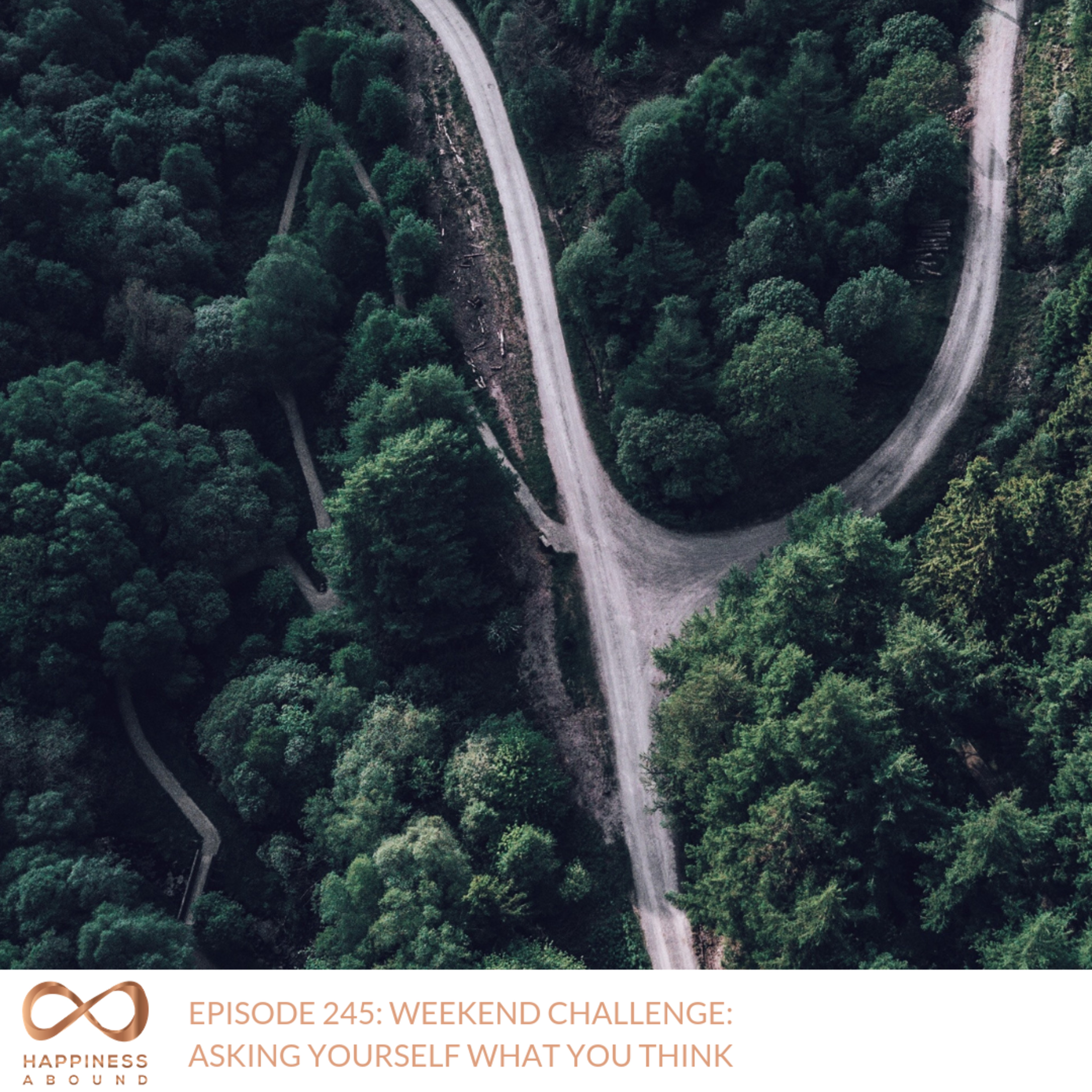 #245: WEEKEND CHALLENGE: ASKING YOURSELF WHAT YOU THINK episode artwork
