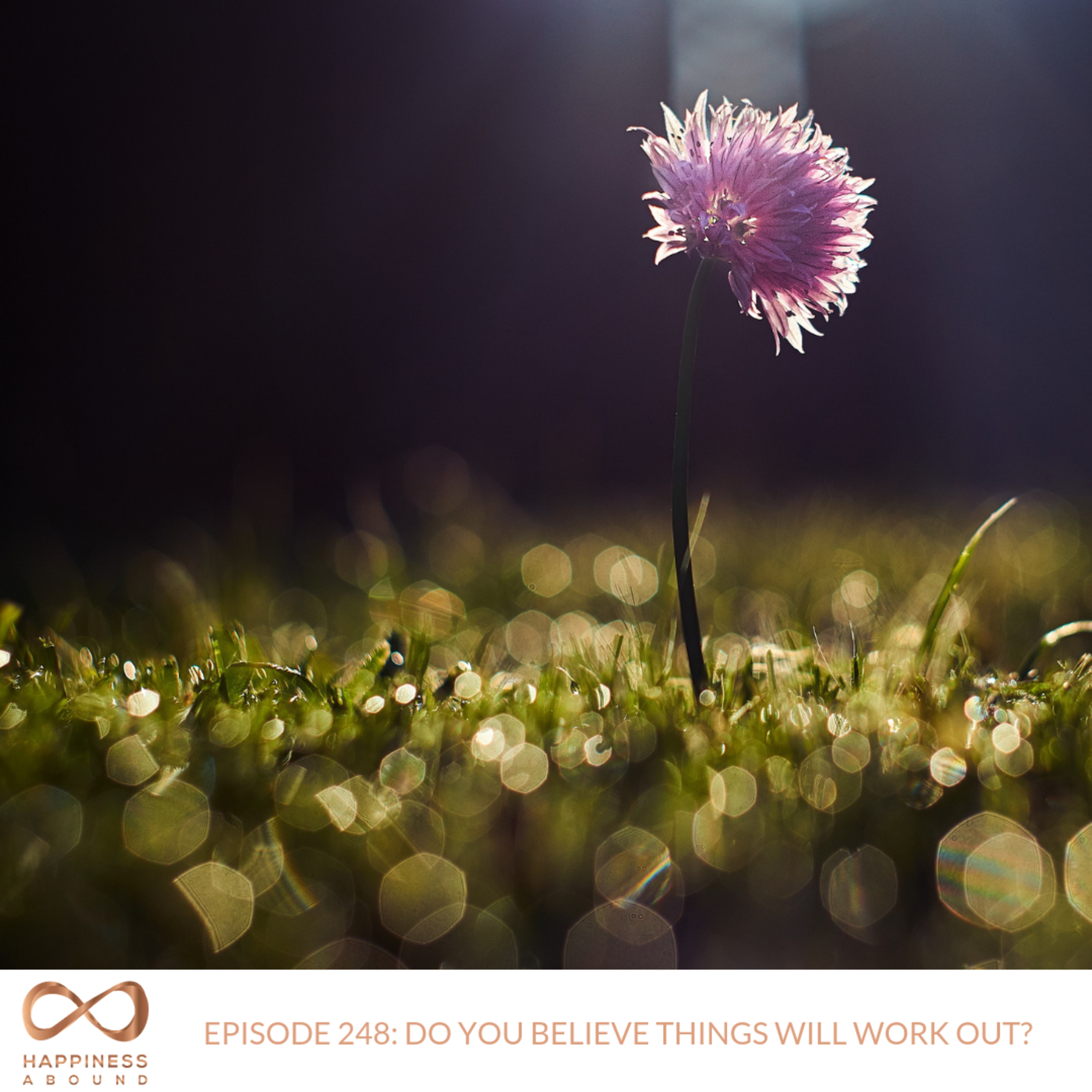 DO YOU BELIEVE THINGS WILL WORK OUT? episode artwork