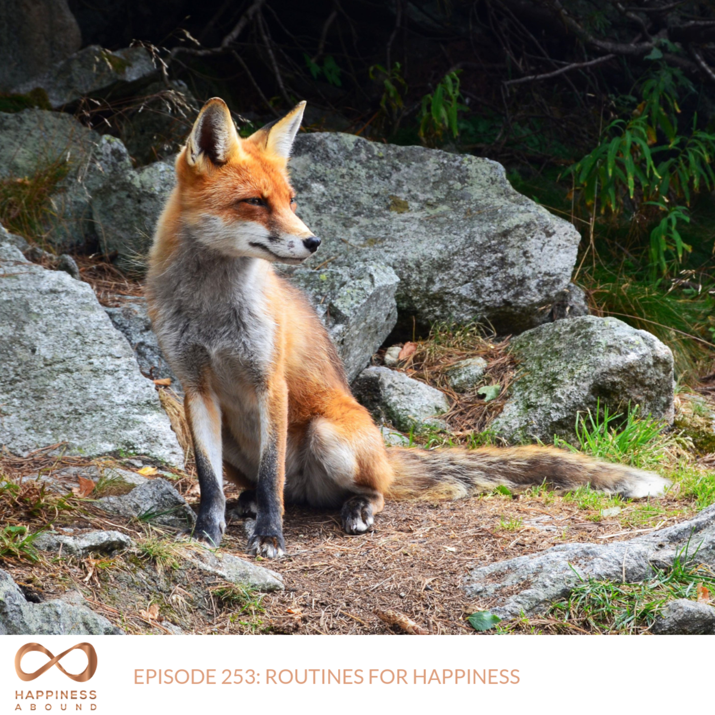 #253: ROUTINES FOR HAPPINESS episode artwork