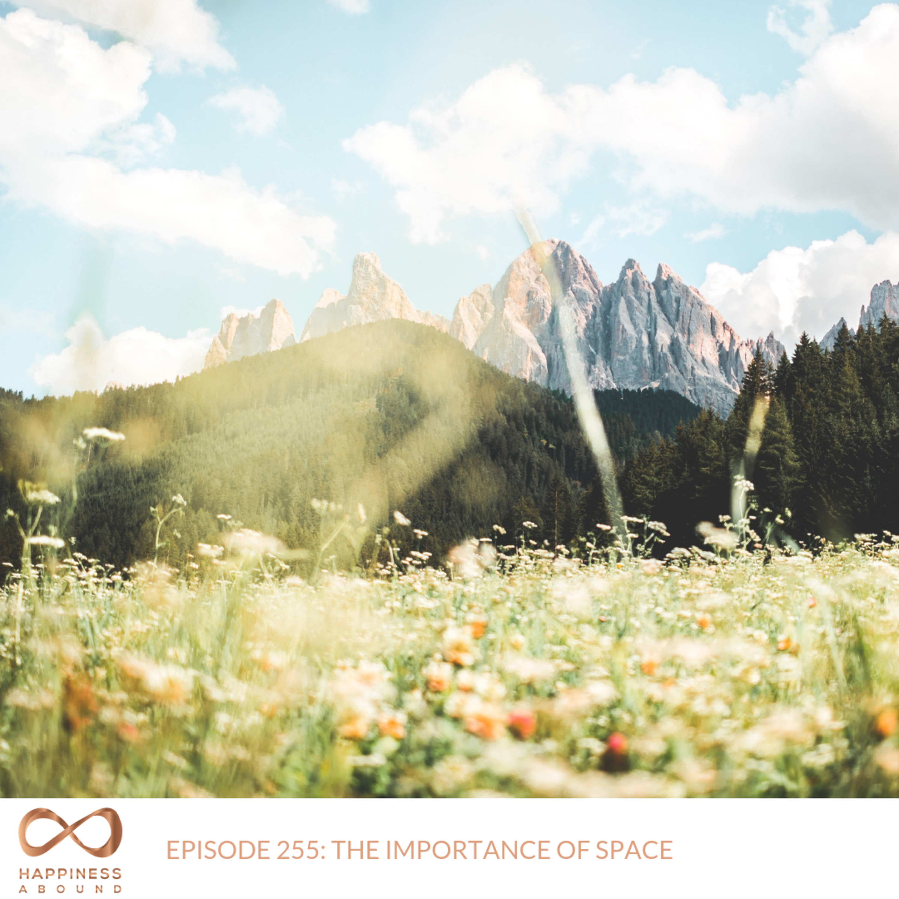 #255: THE IMPORTANCE OF SPACE episode artwork