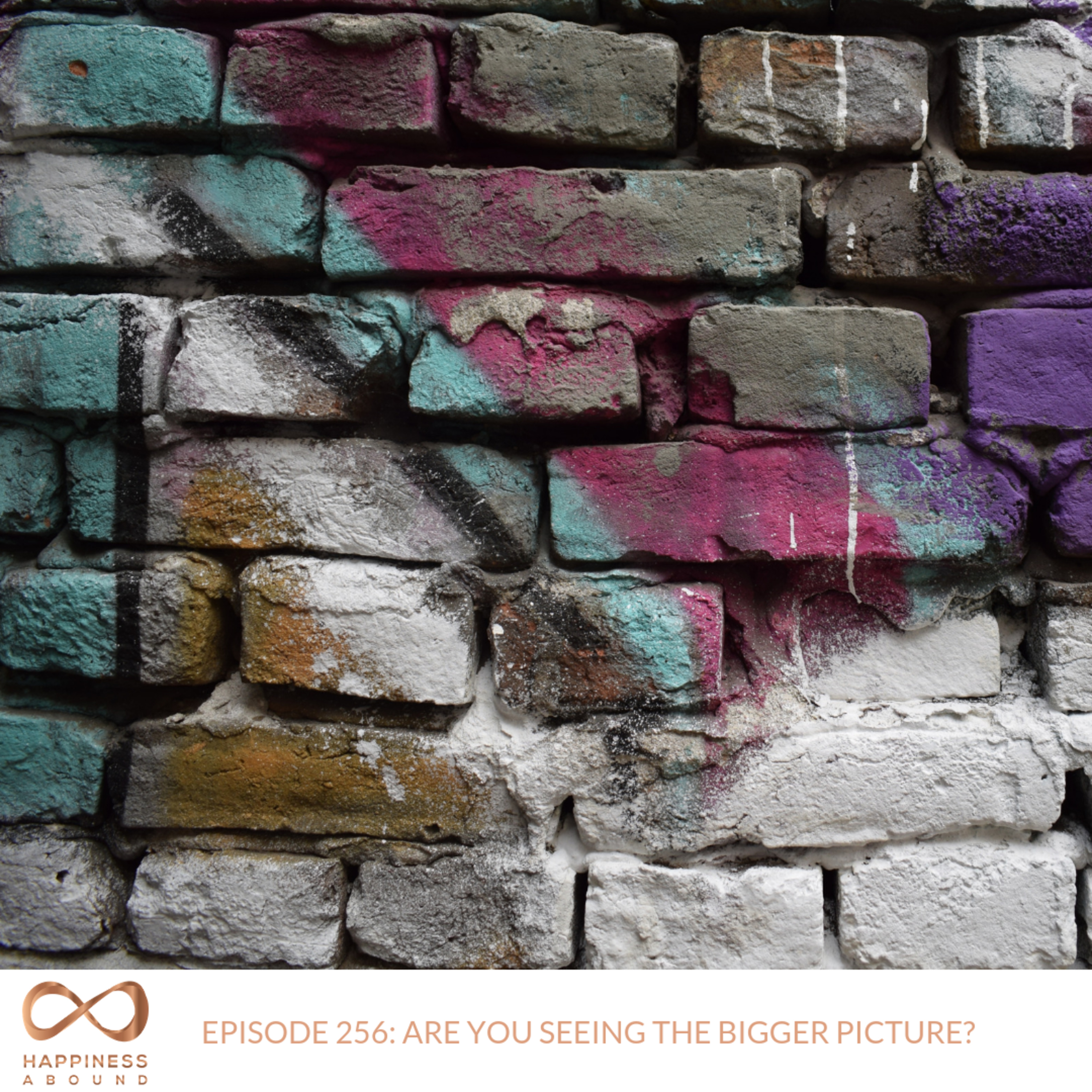 #256: ARE YOU SEEING THE BIGGER PICTURE? episode artwork